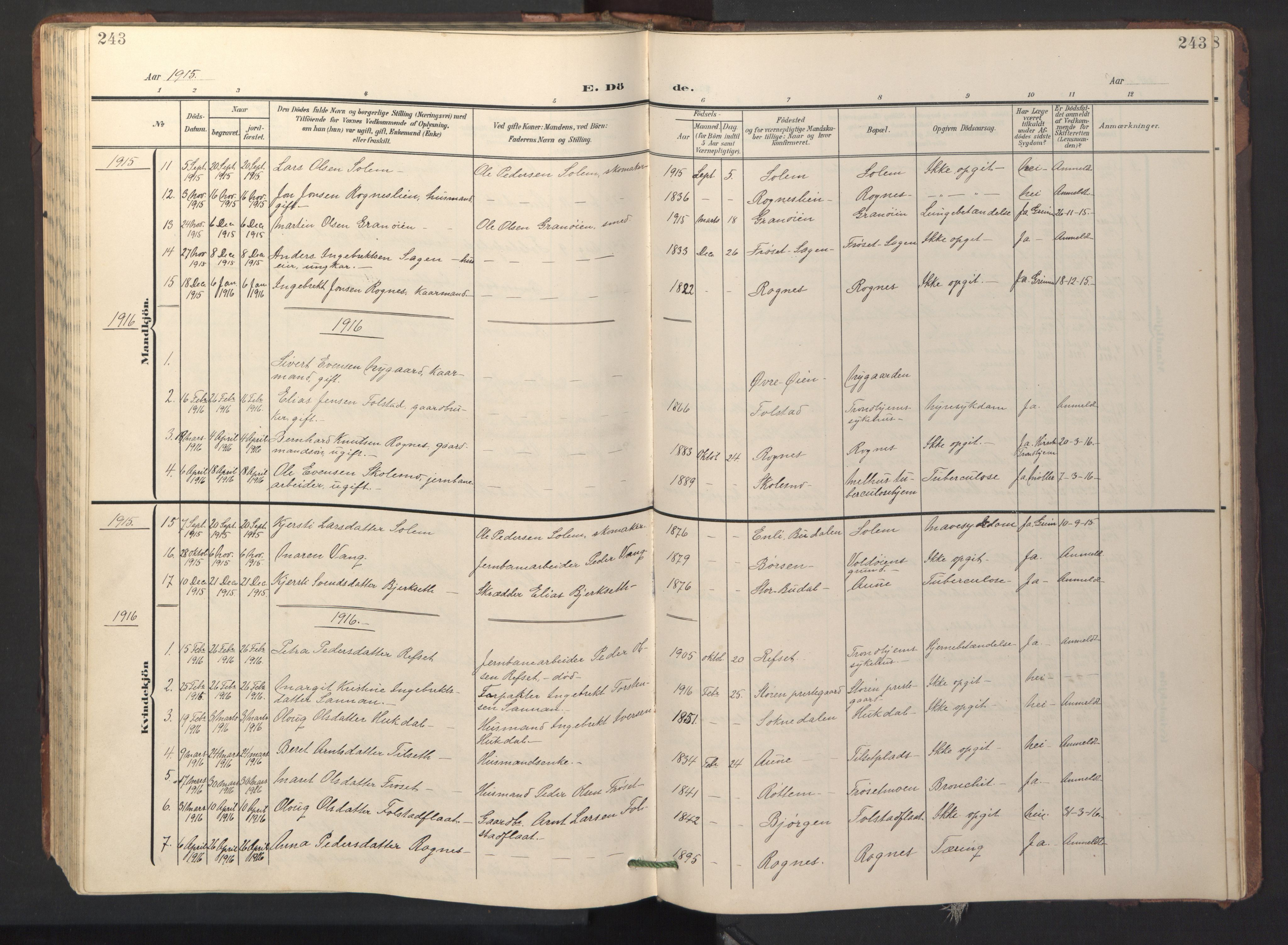 Ministerialprotokoller, klokkerbøker og fødselsregistre - Sør-Trøndelag, SAT/A-1456/687/L1019: Parish register (copy) no. 687C03, 1904-1931, p. 243