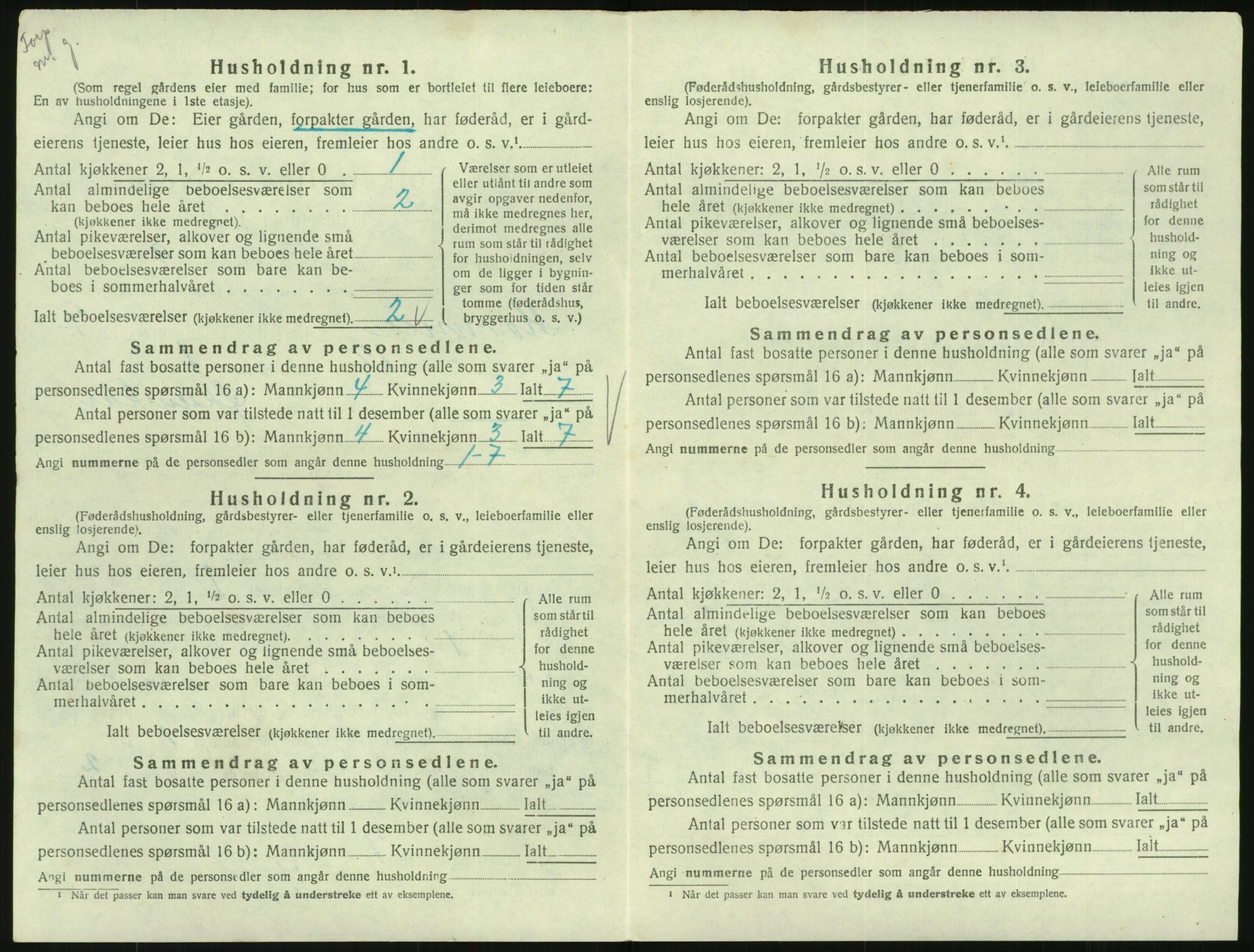 SAK, 1920 census for Hornnes, 1920, p. 280