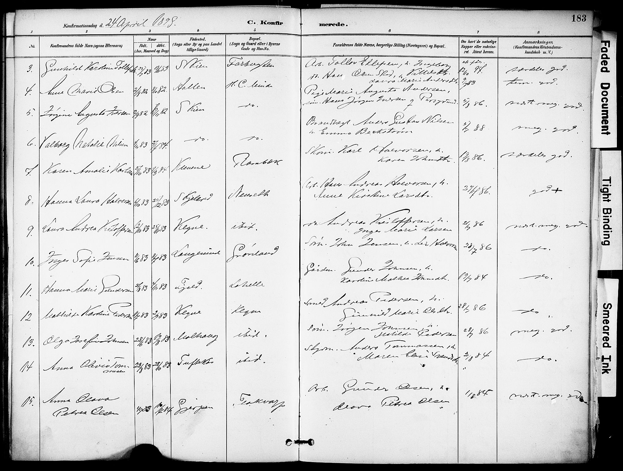 Solum kirkebøker, AV/SAKO-A-306/F/Fa/L0010: Parish register (official) no. I 10, 1888-1898, p. 183