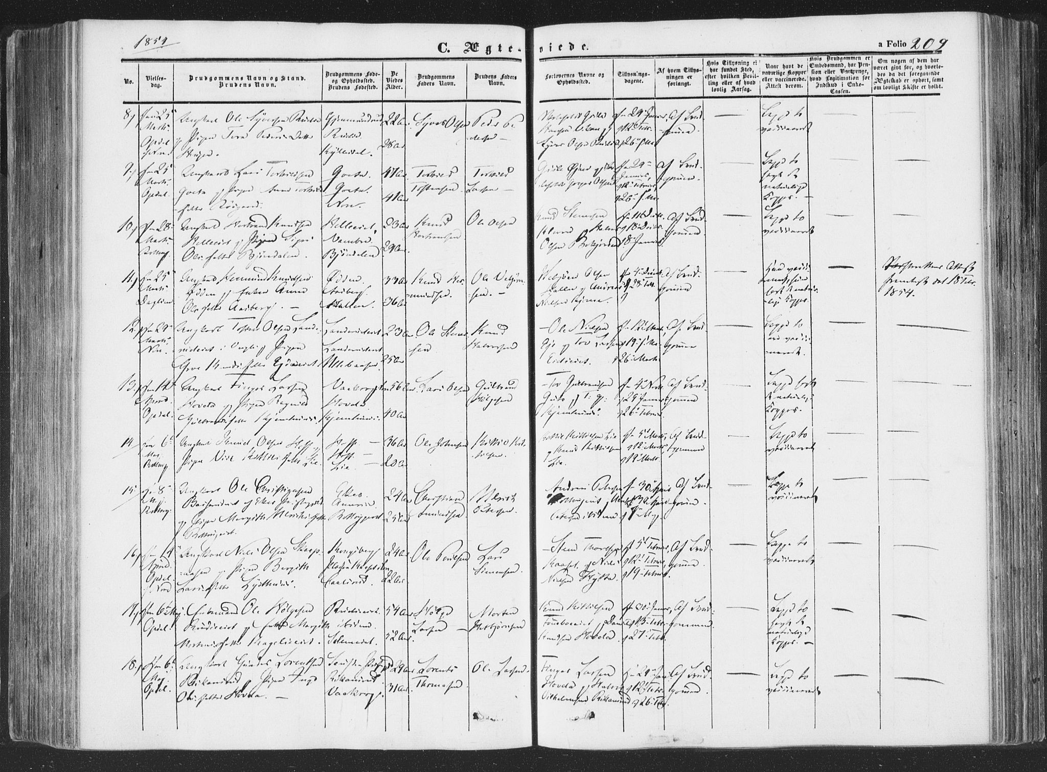 Rollag kirkebøker, AV/SAKO-A-240/F/Fa/L0008: Parish register (official) no. I 8, 1847-1860, p. 209