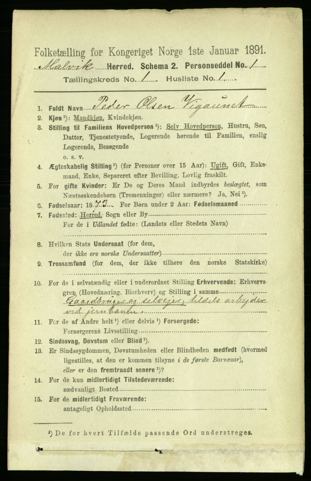 RA, 1891 census for 1663 Malvik, 1891, p. 106