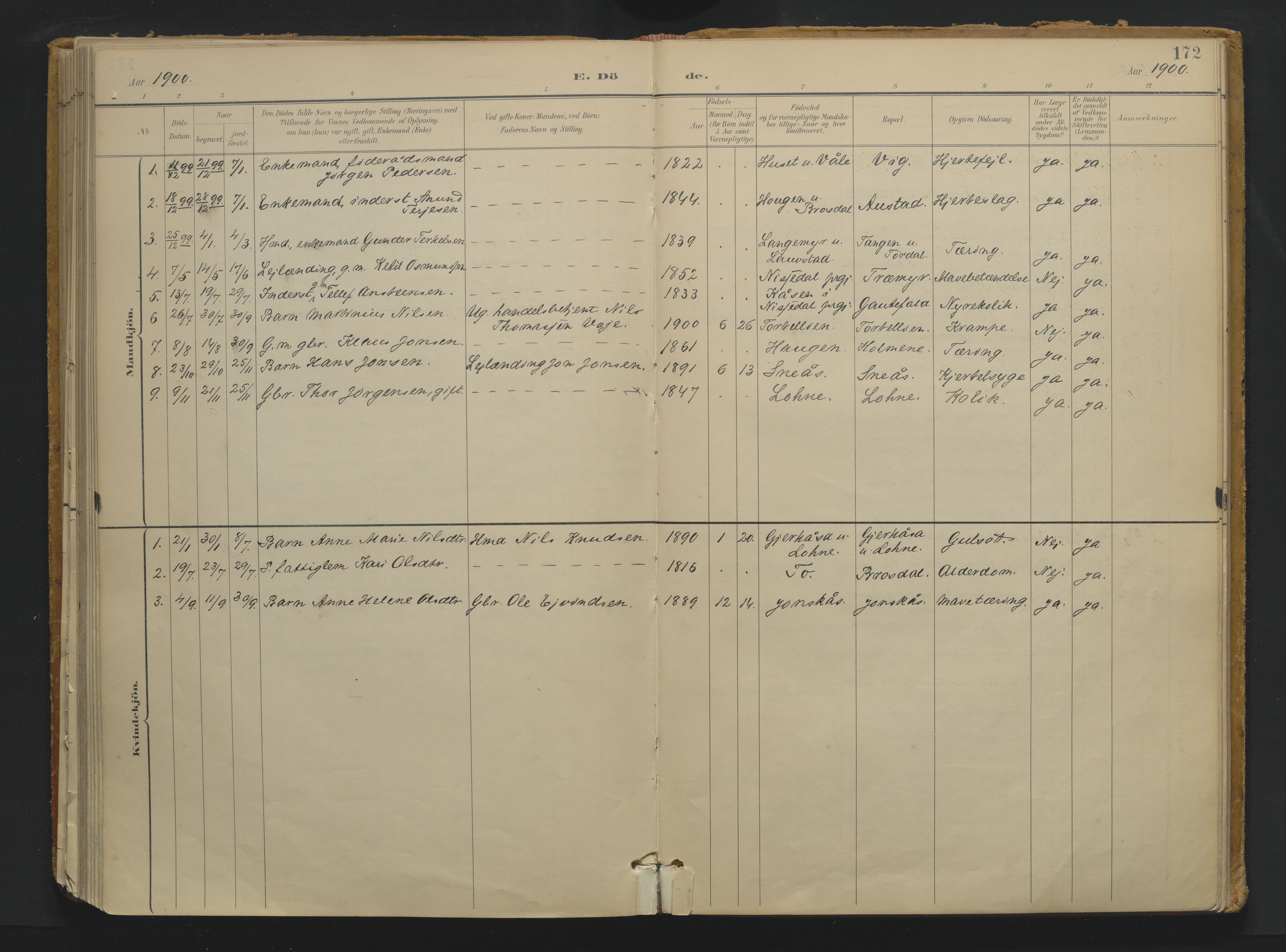 Drangedal kirkebøker, SAKO/A-258/F/Fa/L0013: Parish register (official) no. 13, 1895-1919, p. 172
