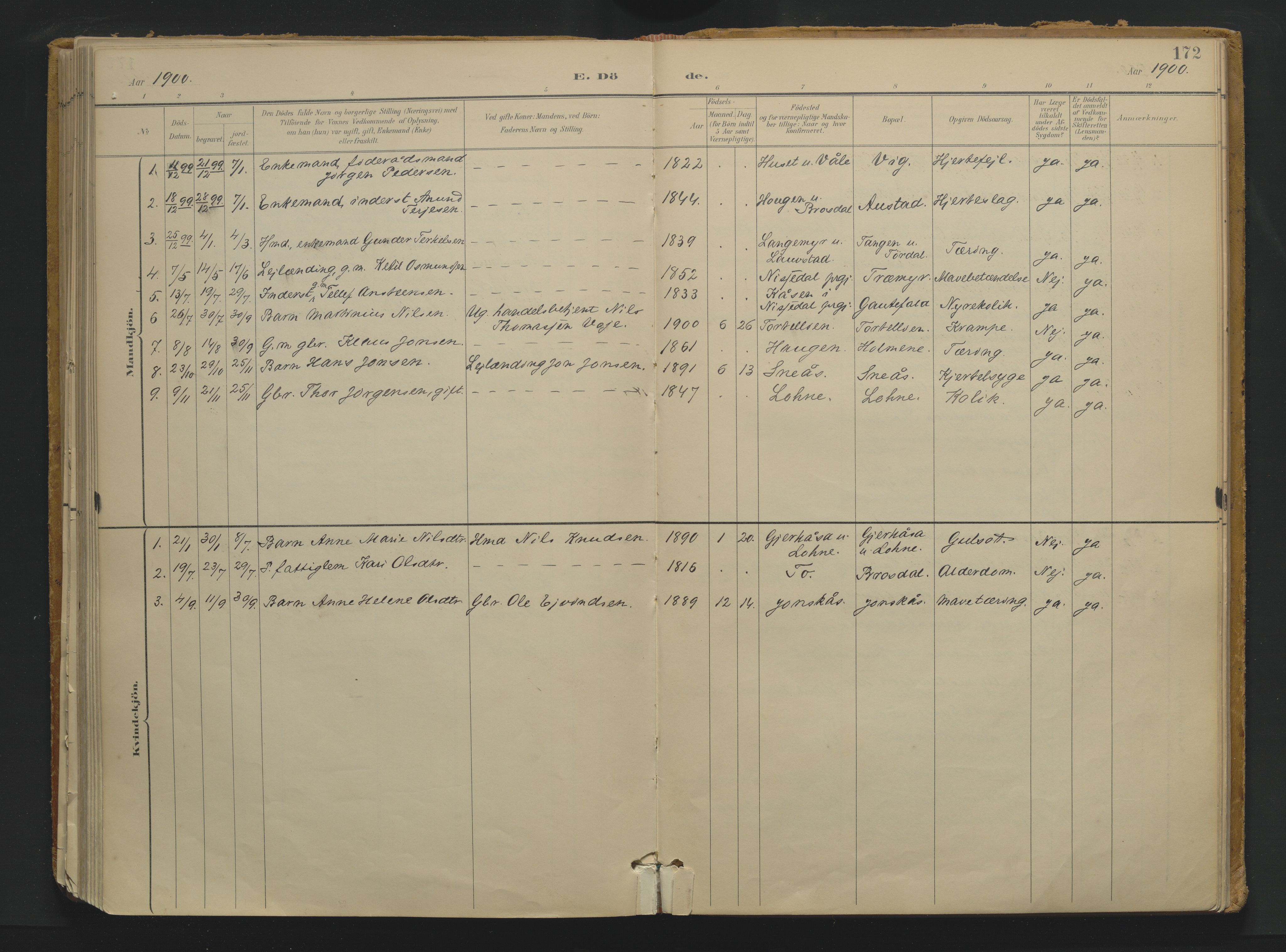Drangedal kirkebøker, AV/SAKO-A-258/F/Fa/L0013: Parish register (official) no. 13, 1895-1919, p. 172