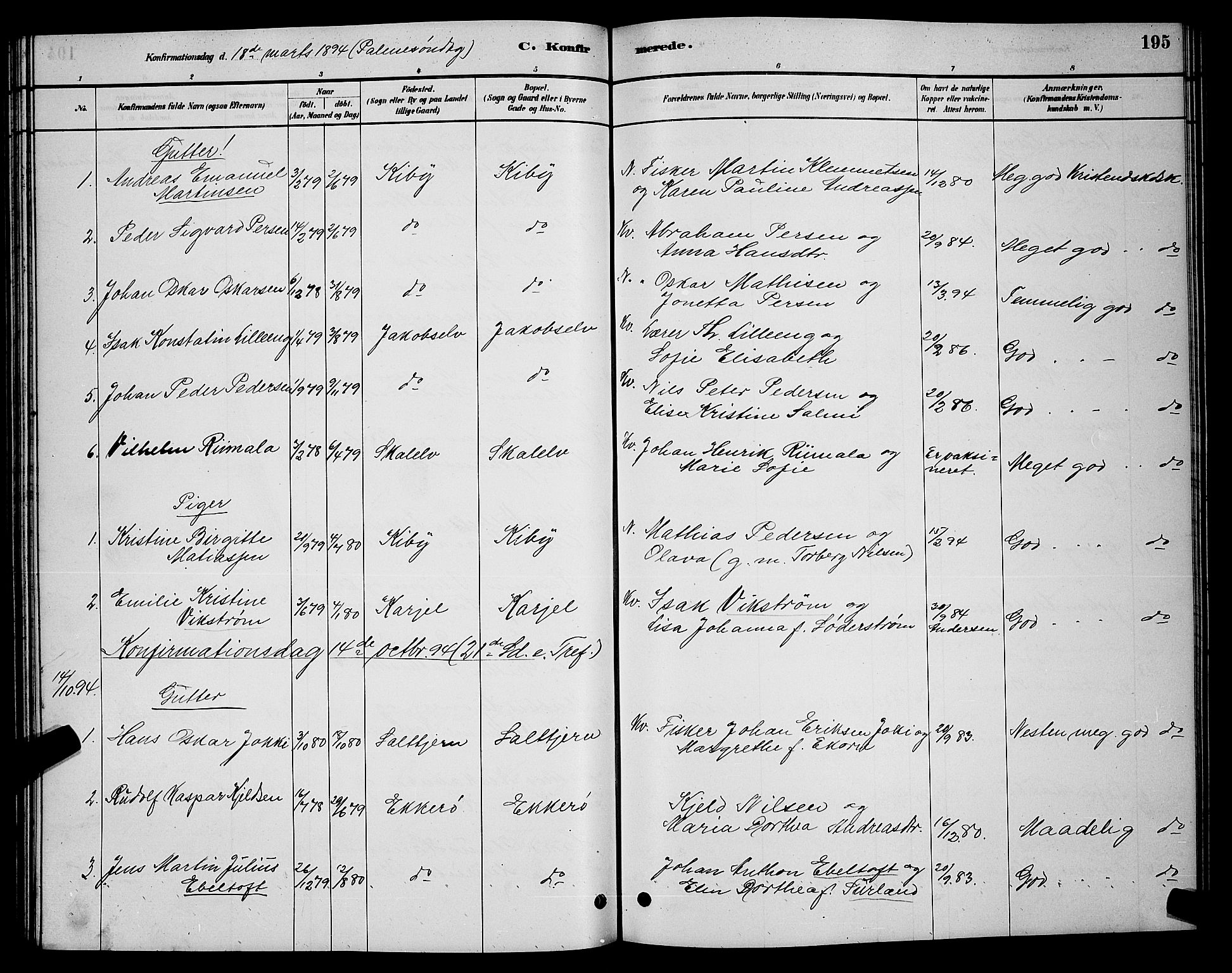 Vadsø sokneprestkontor, SATØ/S-1325/H/Hb/L0003klokker: Parish register (copy) no. 3, 1881-1901, p. 195