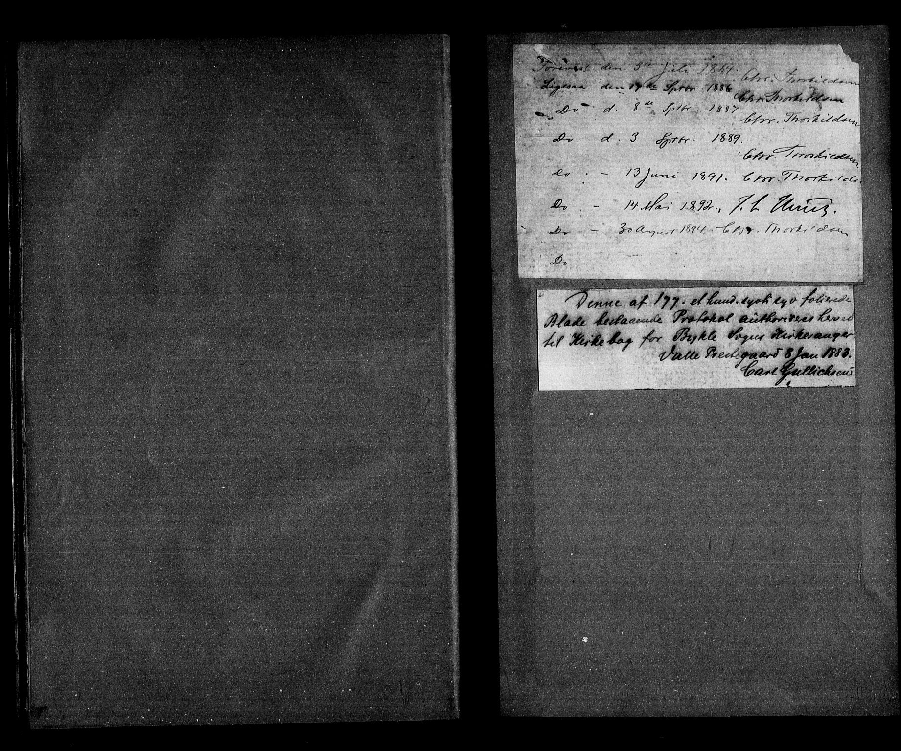Valle sokneprestkontor, SAK/1111-0044/F/Fb/Fba/L0002: Parish register (copy) no. B 2, 1882-1894