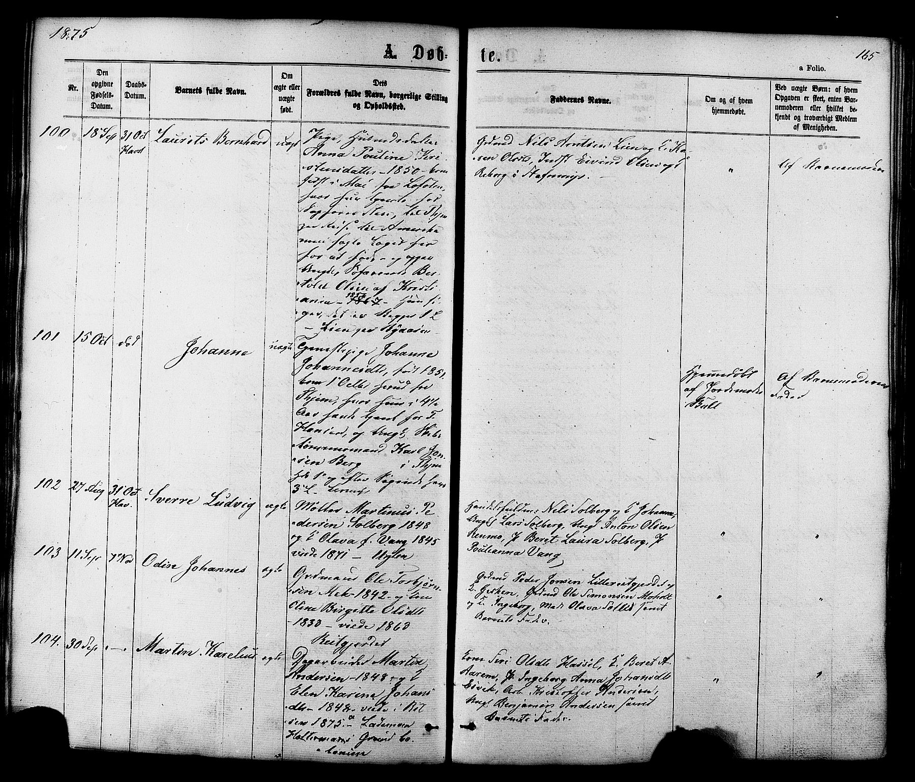 Ministerialprotokoller, klokkerbøker og fødselsregistre - Sør-Trøndelag, AV/SAT-A-1456/606/L0293: Parish register (official) no. 606A08, 1866-1877, p. 165