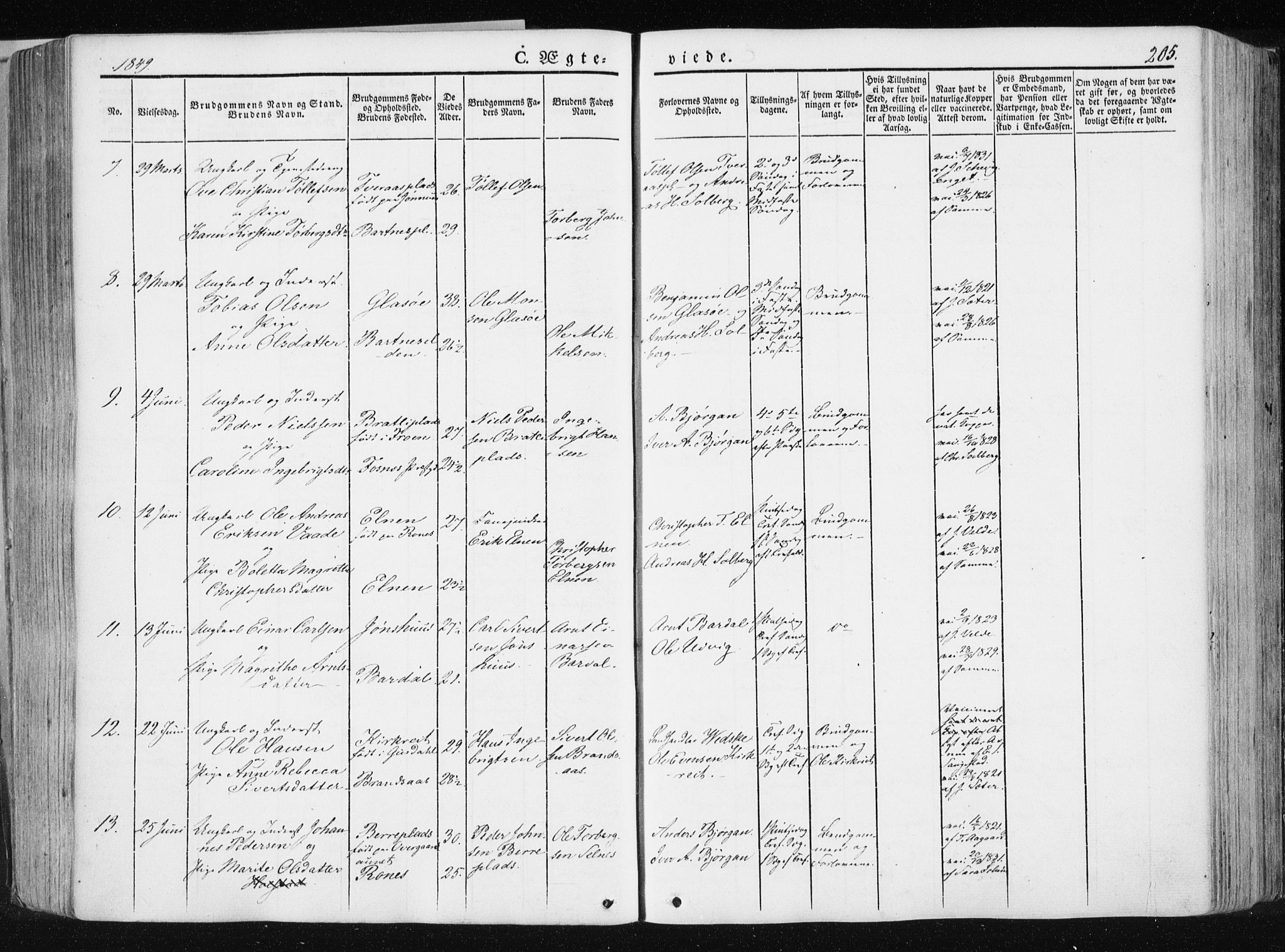 Ministerialprotokoller, klokkerbøker og fødselsregistre - Nord-Trøndelag, SAT/A-1458/741/L0393: Parish register (official) no. 741A07, 1849-1863, p. 205