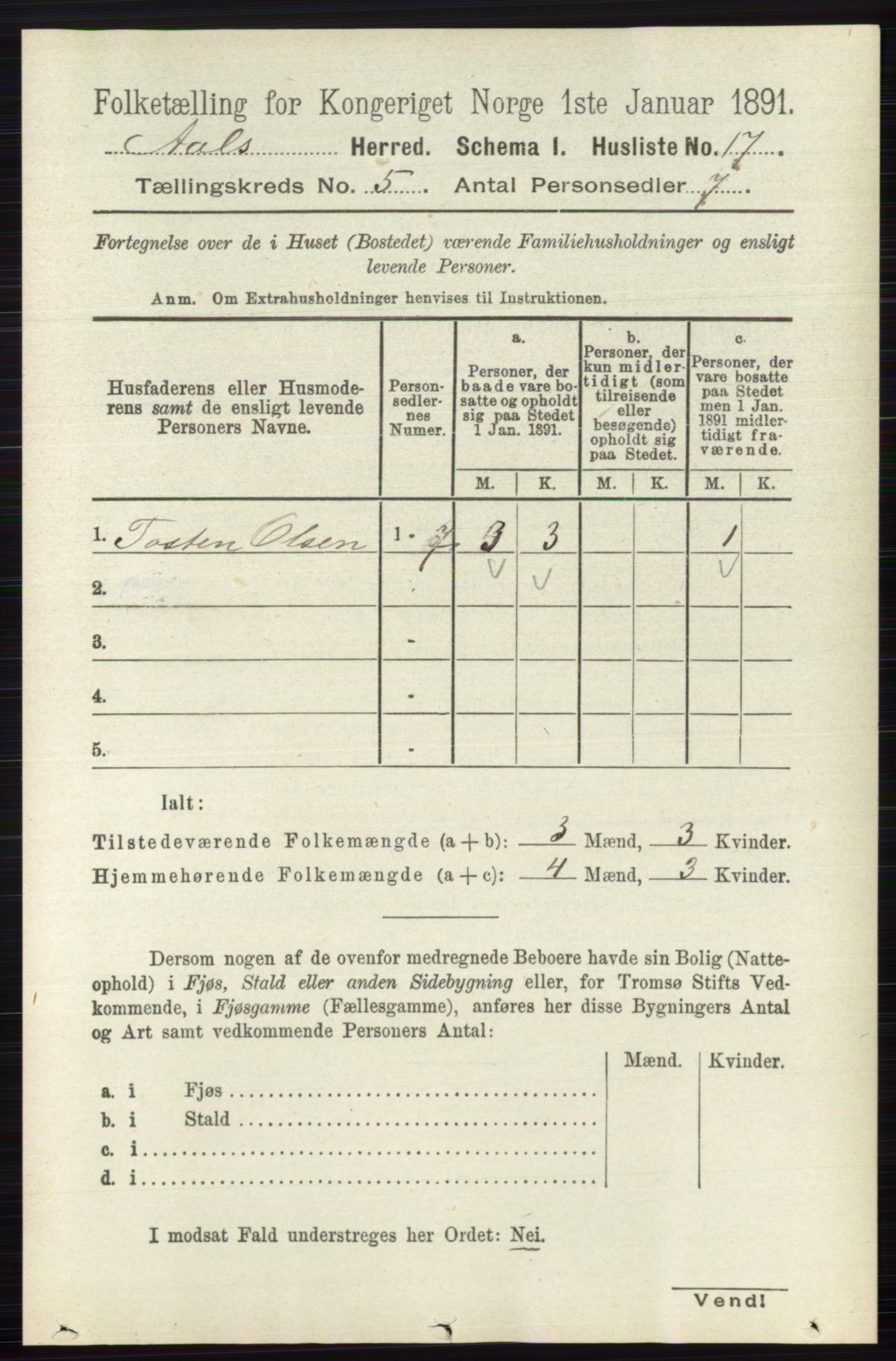 RA, 1891 census for 0619 Ål, 1891, p. 1352