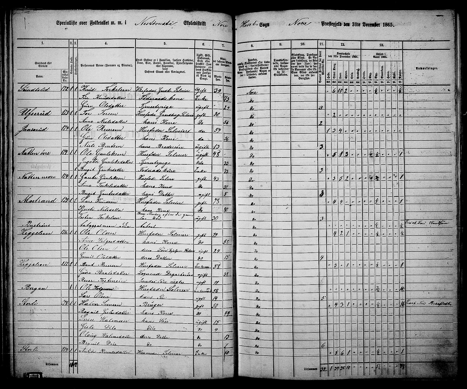 RA, 1865 census for Nore, 1865, p. 51