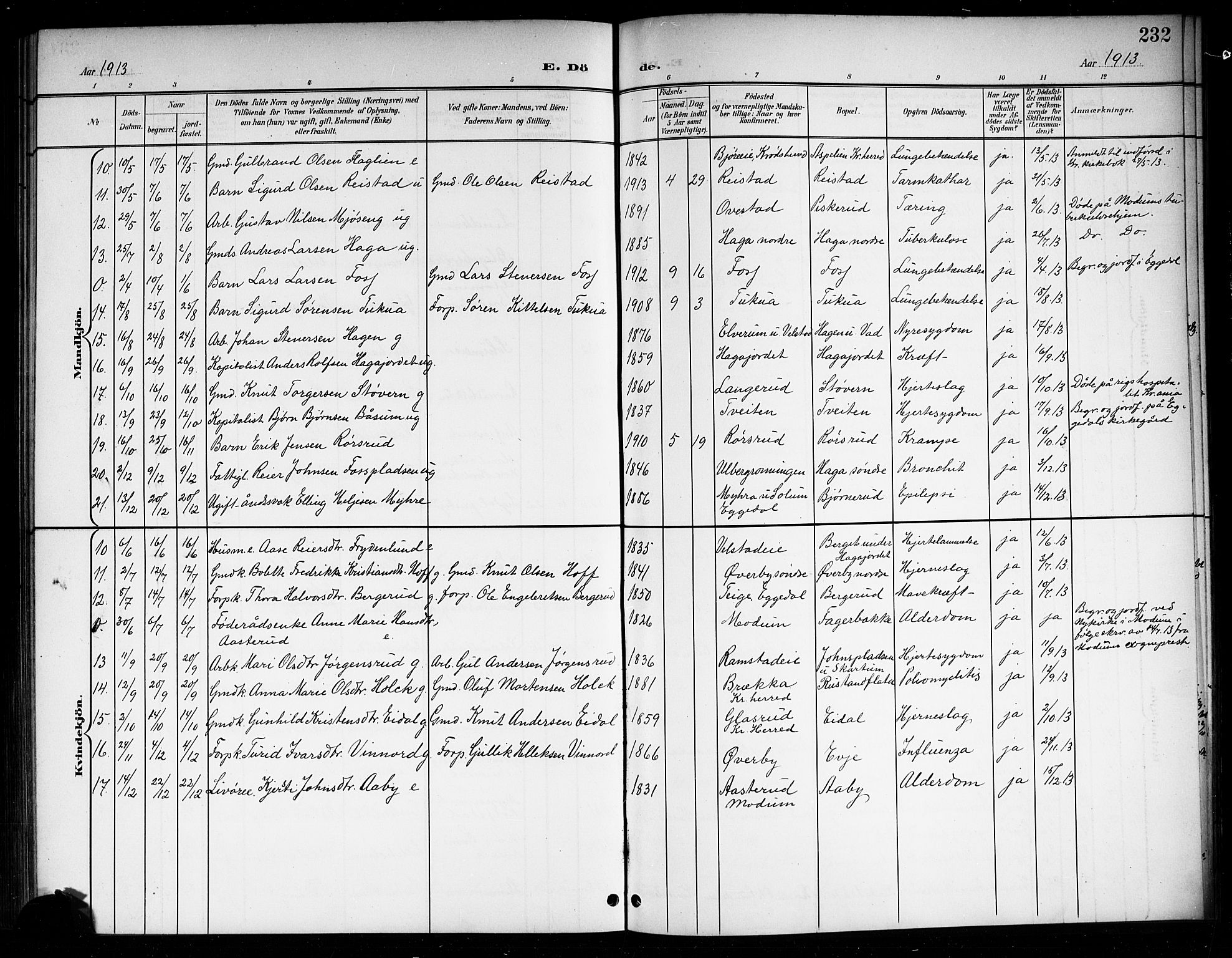 Sigdal kirkebøker, SAKO/A-245/G/Ga/L0006: Parish register (copy) no. I 6, 1901-1916, p. 232