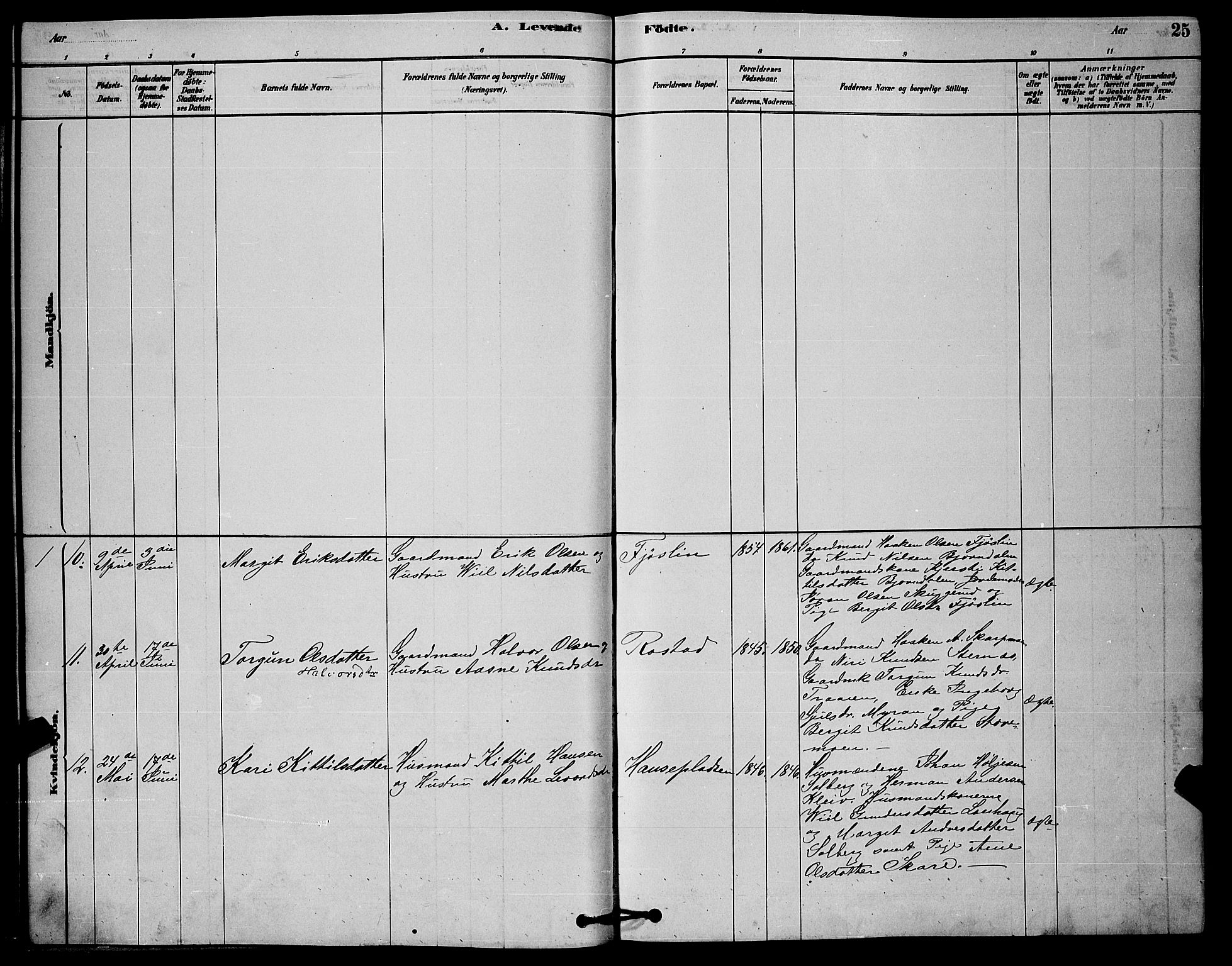 Rollag kirkebøker, AV/SAKO-A-240/G/Ga/L0004: Parish register (copy) no. I 4, 1878-1903, p. 25