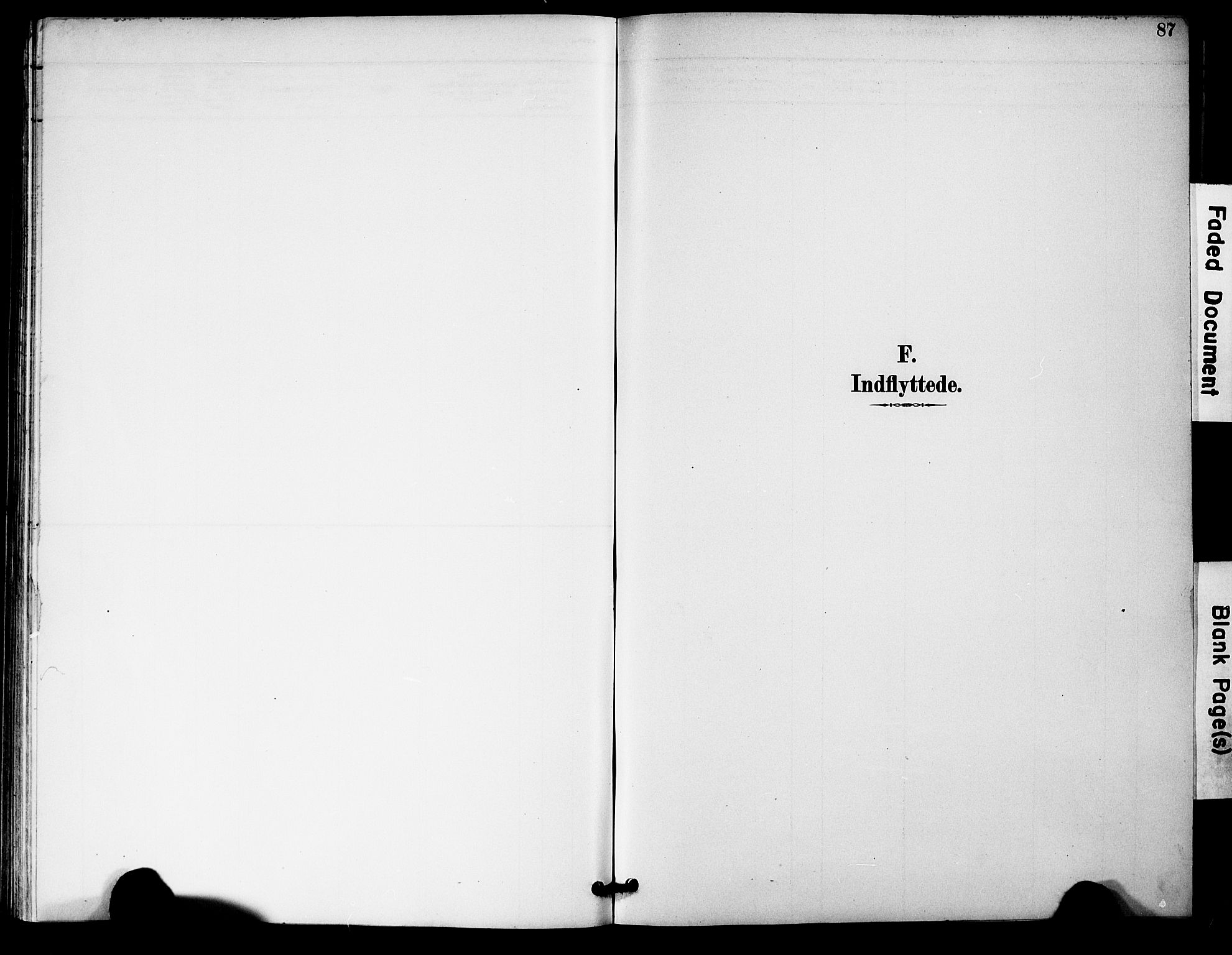 Bygland sokneprestkontor, AV/SAK-1111-0006/F/Fa/Fac/L0001: Parish register (official) no. A 1, 1885-1909, p. 87