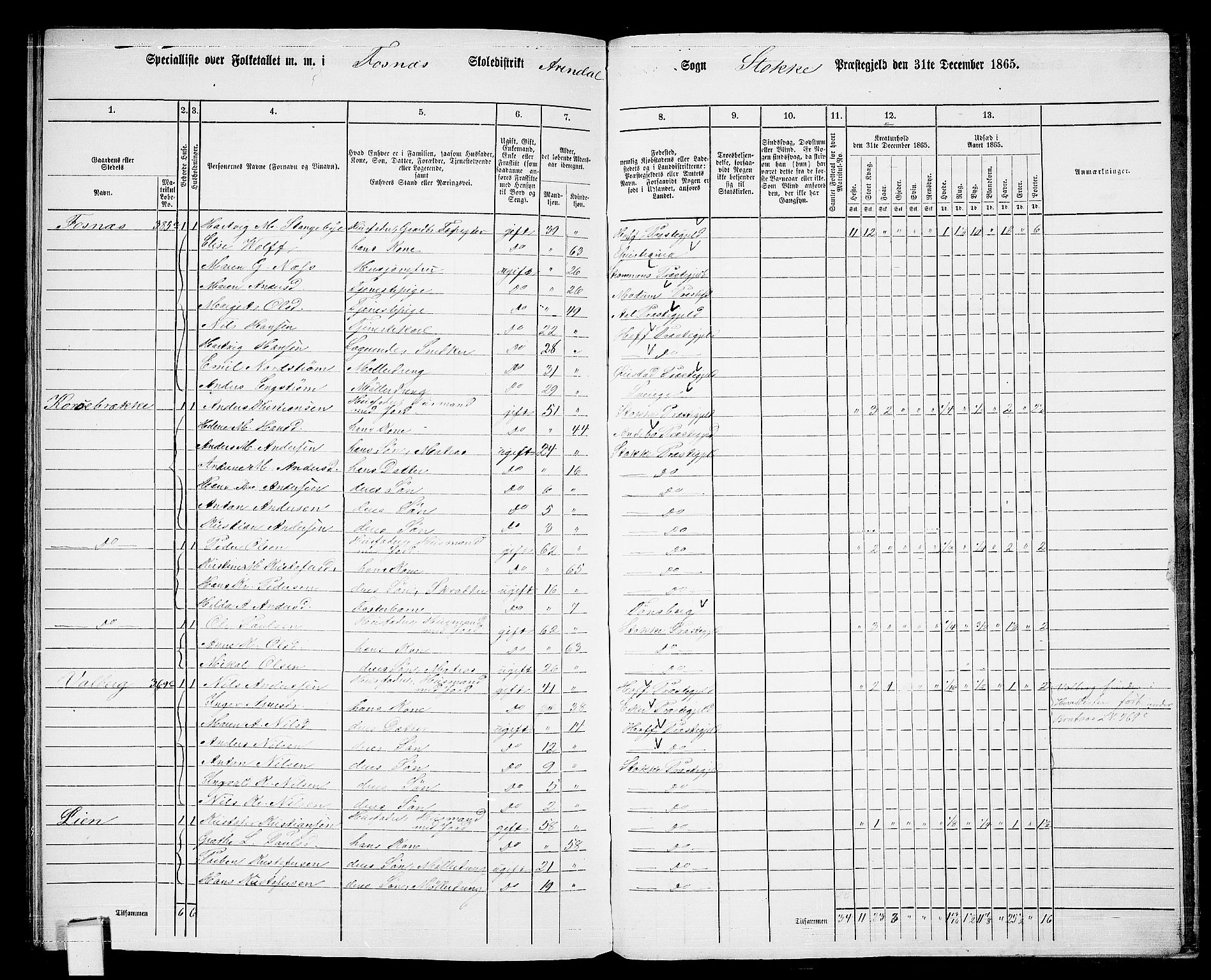 RA, 1865 census for Stokke, 1865, p. 186