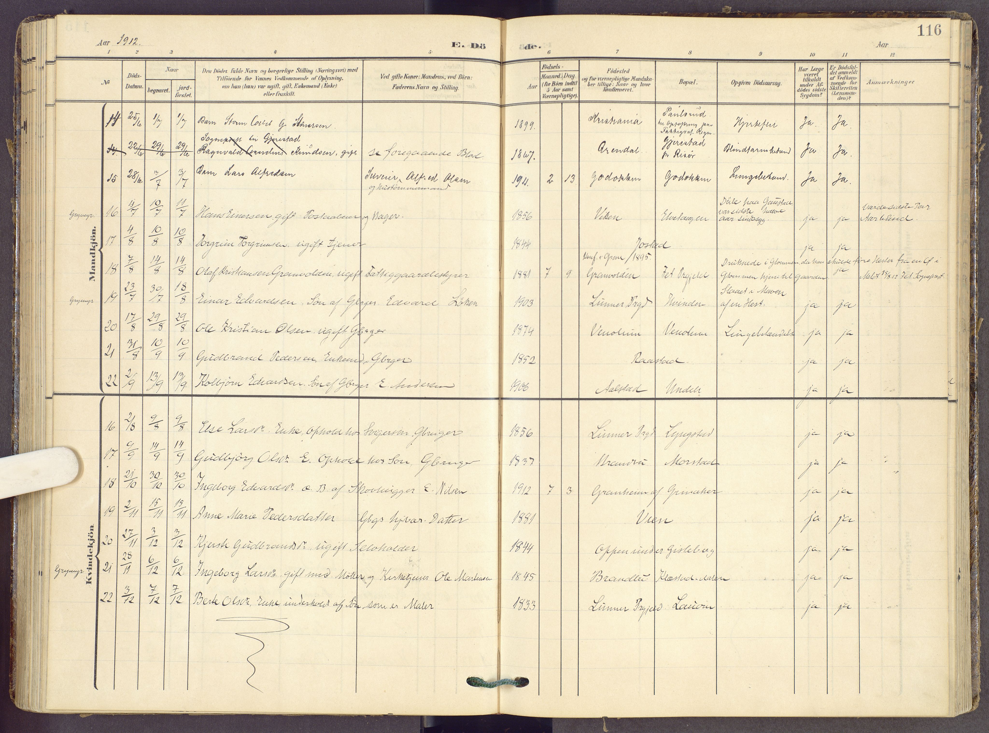 Gran prestekontor, SAH/PREST-112/H/Ha/Haa/L0022: Parish register (official) no. 22, 1908-1918, p. 116