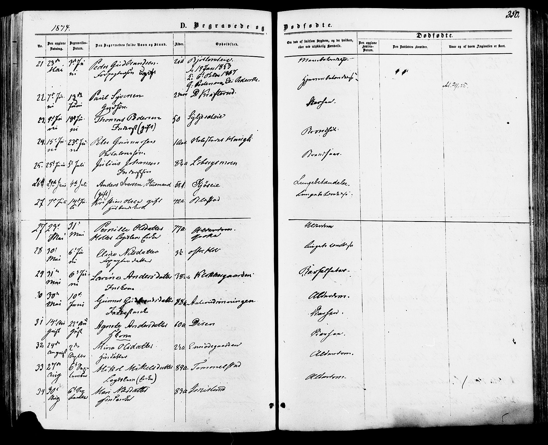 Vang prestekontor, Hedmark, AV/SAH-PREST-008/H/Ha/Haa/L0015: Parish register (official) no. 15, 1871-1885, p. 350