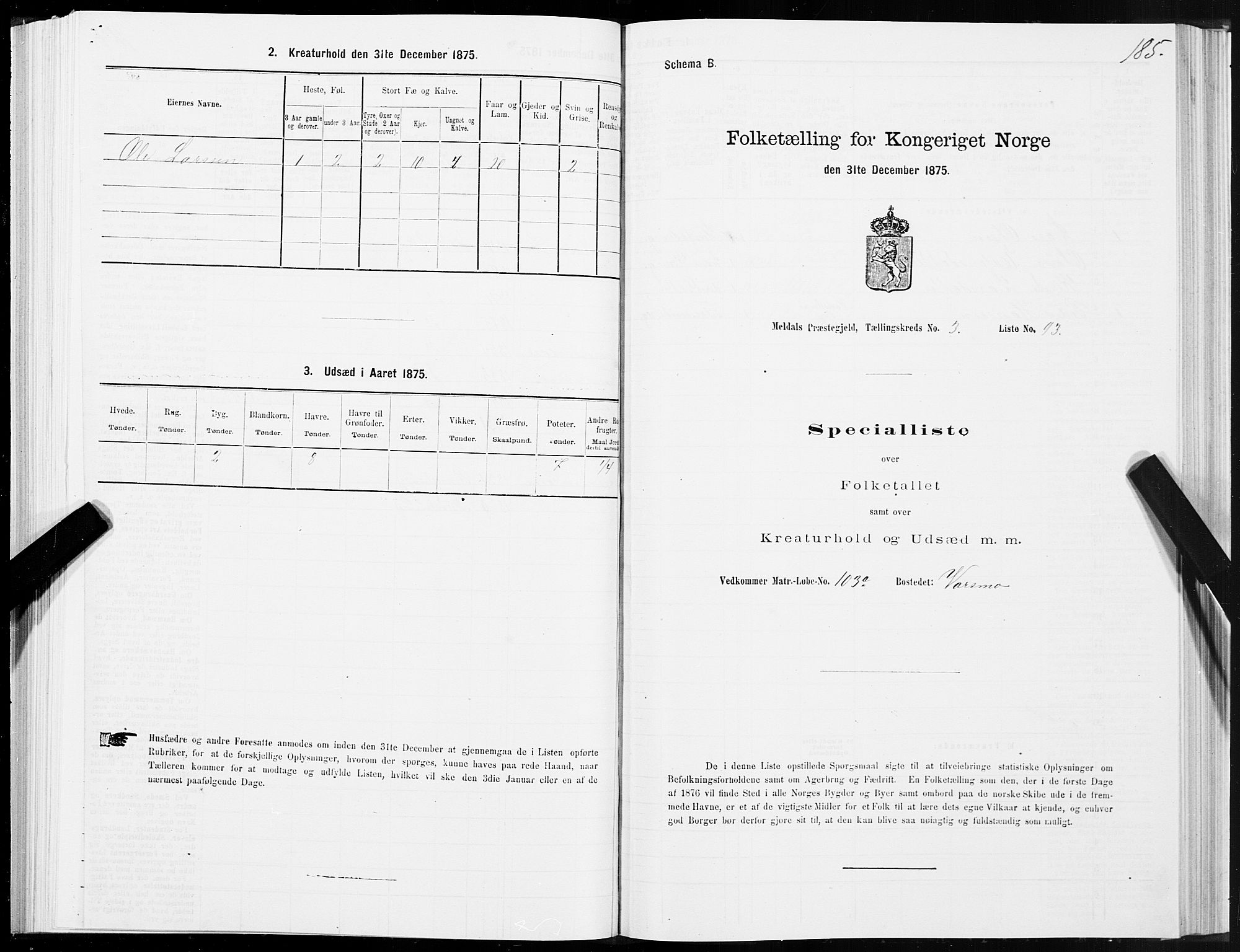 SAT, 1875 census for 1636P Meldal, 1875, p. 2185