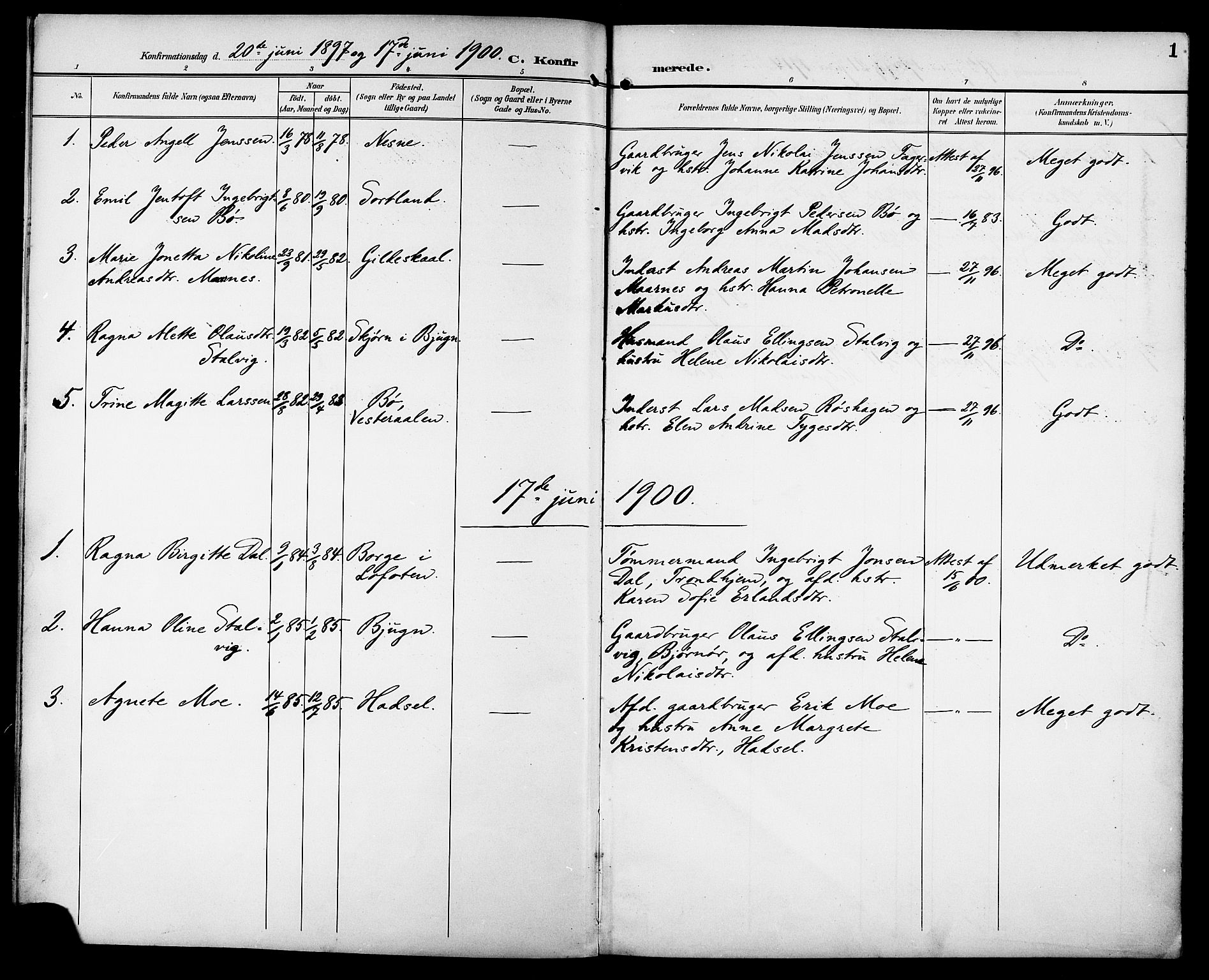 Ministerialprotokoller, klokkerbøker og fødselsregistre - Sør-Trøndelag, AV/SAT-A-1456/629/L0486: Parish register (official) no. 629A02, 1894-1919, p. 1