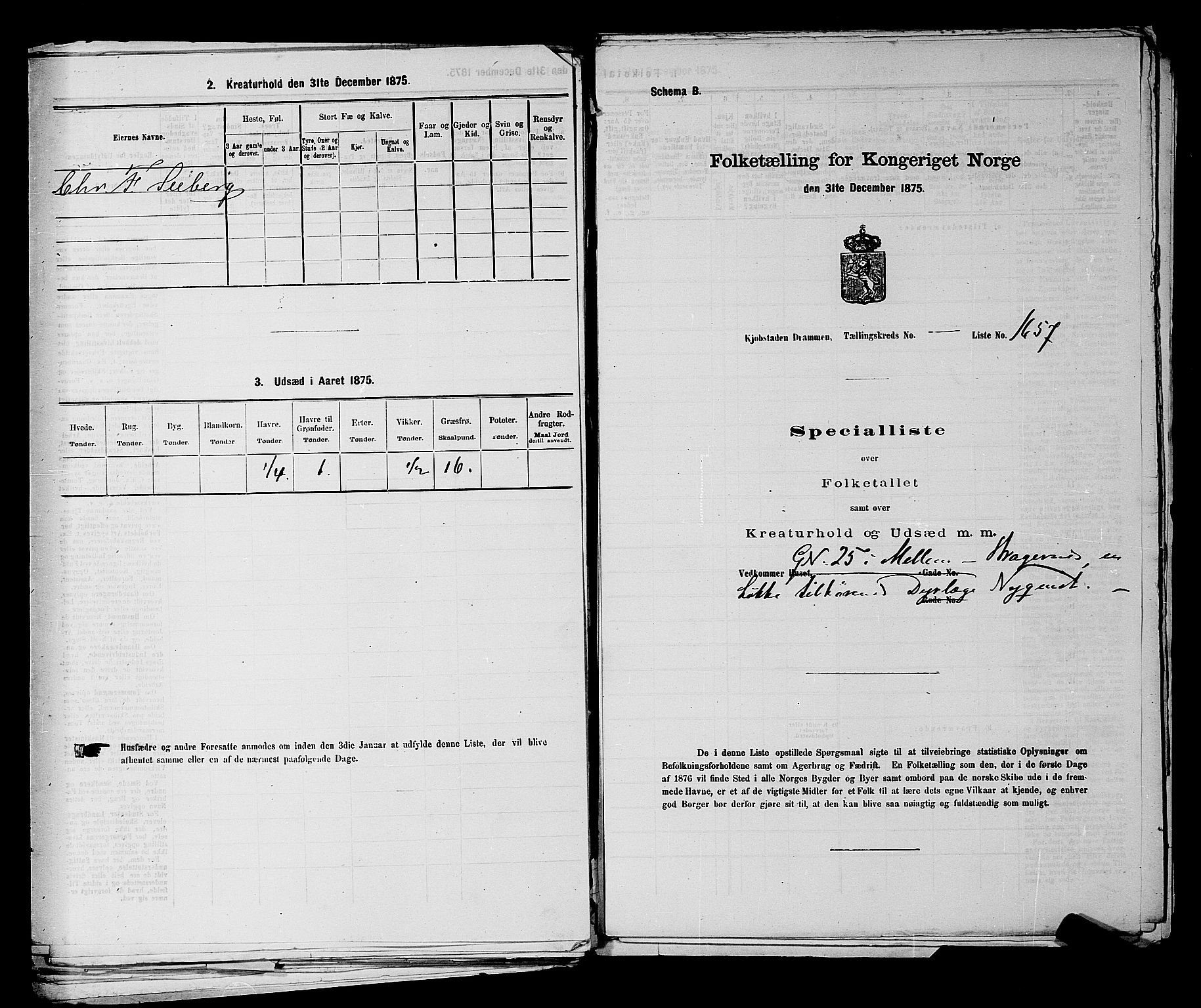 SAKO, 1875 census for 0602 Drammen, 1875, p. 3797