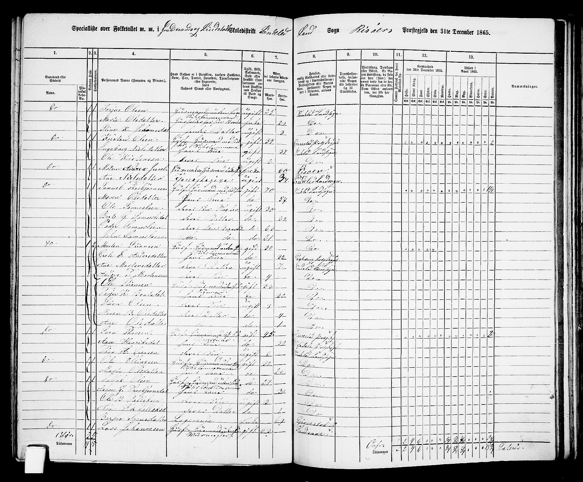 RA, 1865 census for Risør/Søndeled, 1865, p. 101