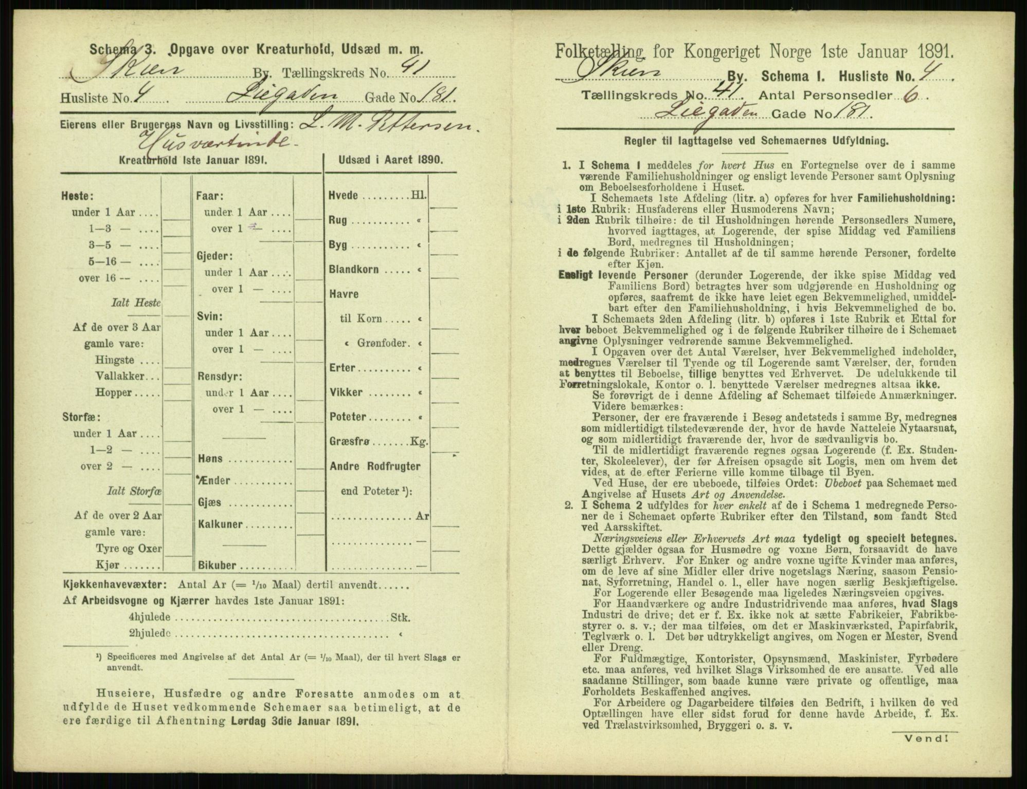 RA, 1891 census for 0806 Skien, 1891, p. 1464