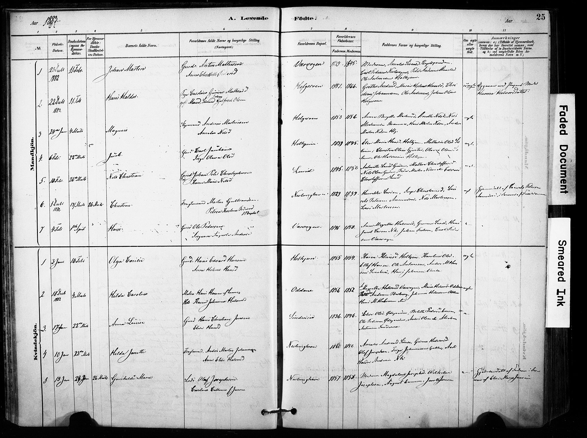 Brunlanes kirkebøker, AV/SAKO-A-342/F/Fb/L0001: Parish register (official) no. II 1, 1878-1899, p. 25