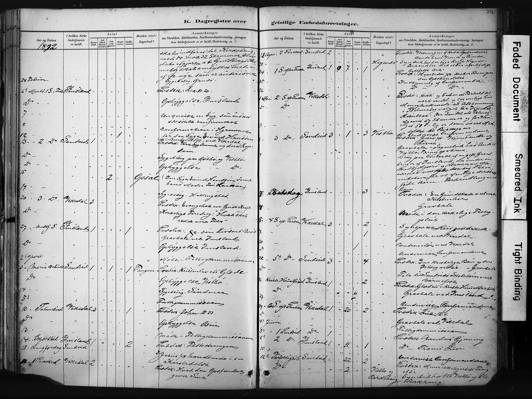 Vikedal sokneprestkontor, AV/SAST-A-101840/01/IV: Parish register (official) no. A 10, 1884-1907, p. 217