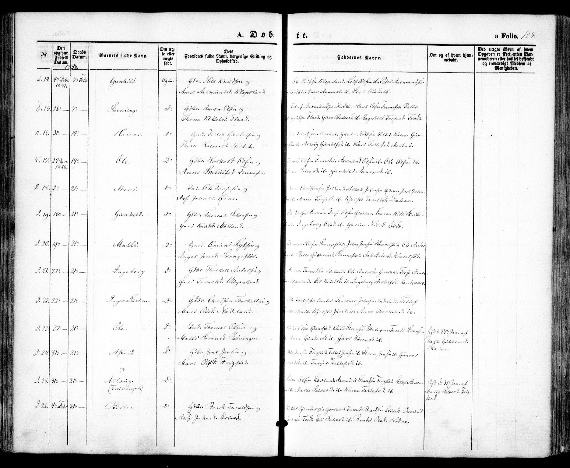 Evje sokneprestkontor, AV/SAK-1111-0008/F/Fa/Faa/L0005: Parish register (official) no. A 5, 1843-1865, p. 124