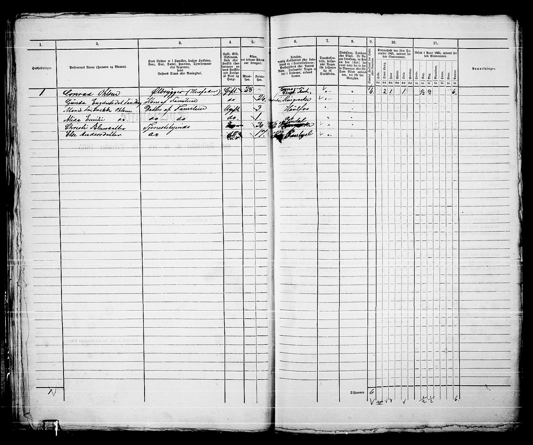 RA, 1865 census for Norderhov/Hønefoss, 1865, p. 36