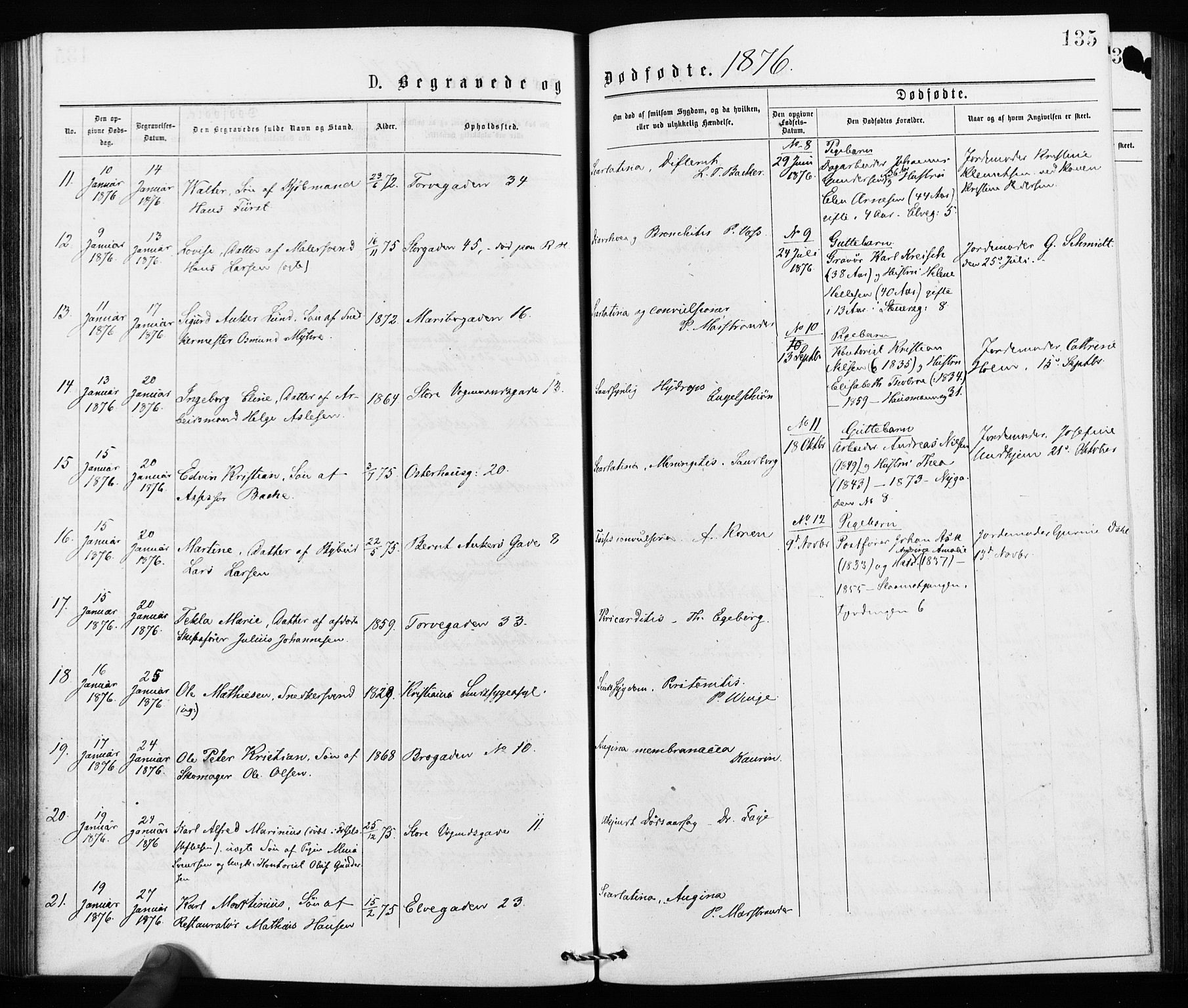 Jakob prestekontor Kirkebøker, SAO/A-10850/F/Fa/L0002: Parish register (official) no. 2, 1875-1879, p. 135