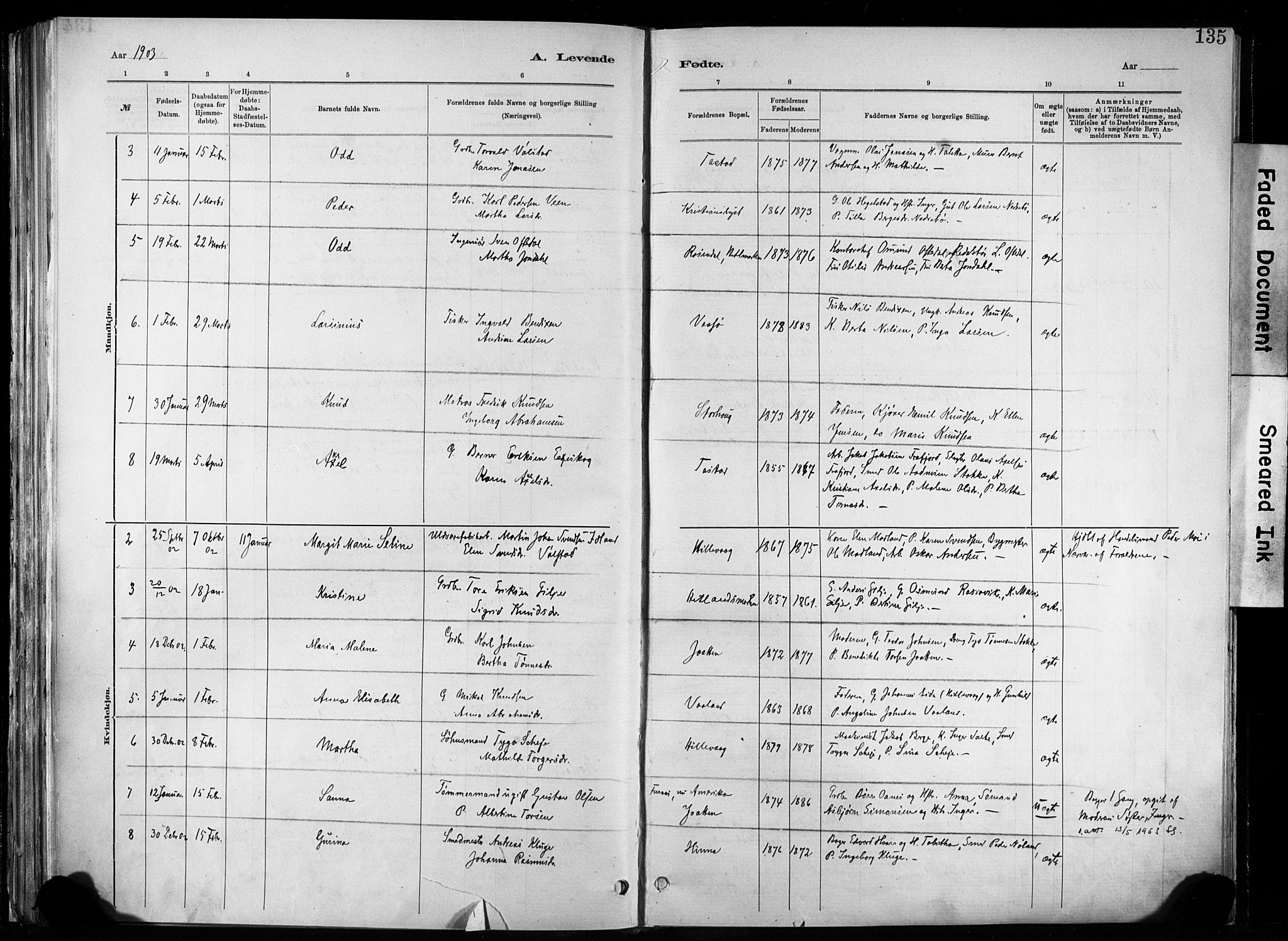 Hetland sokneprestkontor, SAST/A-101826/30/30BA/L0011: Parish register (official) no. A 11, 1884-1911, p. 135