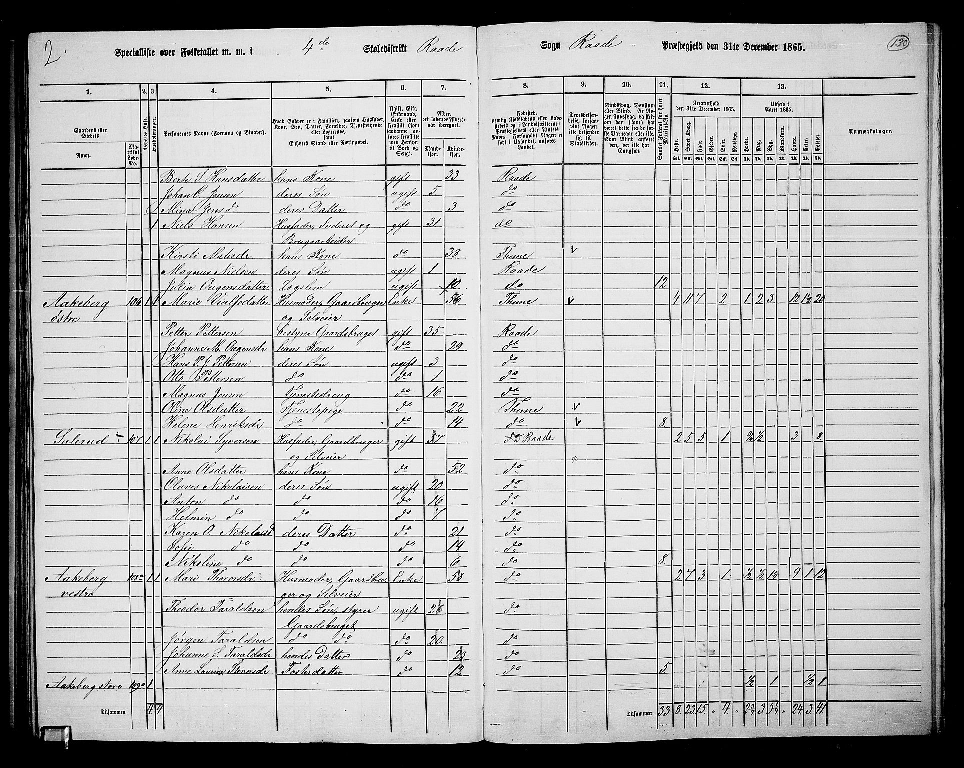 RA, 1865 census for Råde, 1865, p. 117