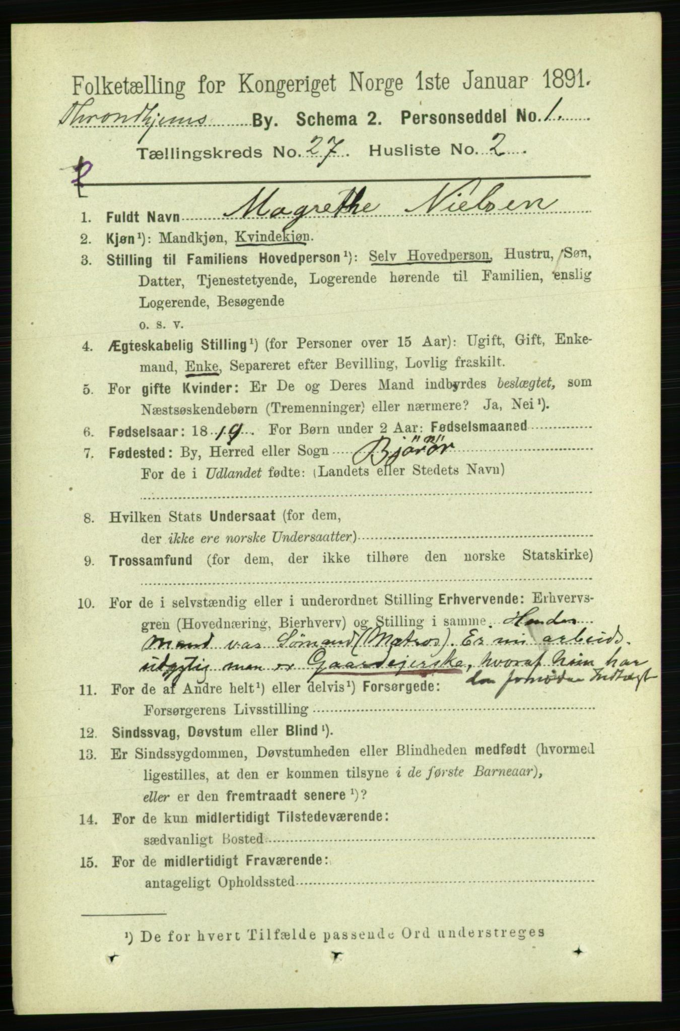 RA, 1891 census for 1601 Trondheim, 1891, p. 20246