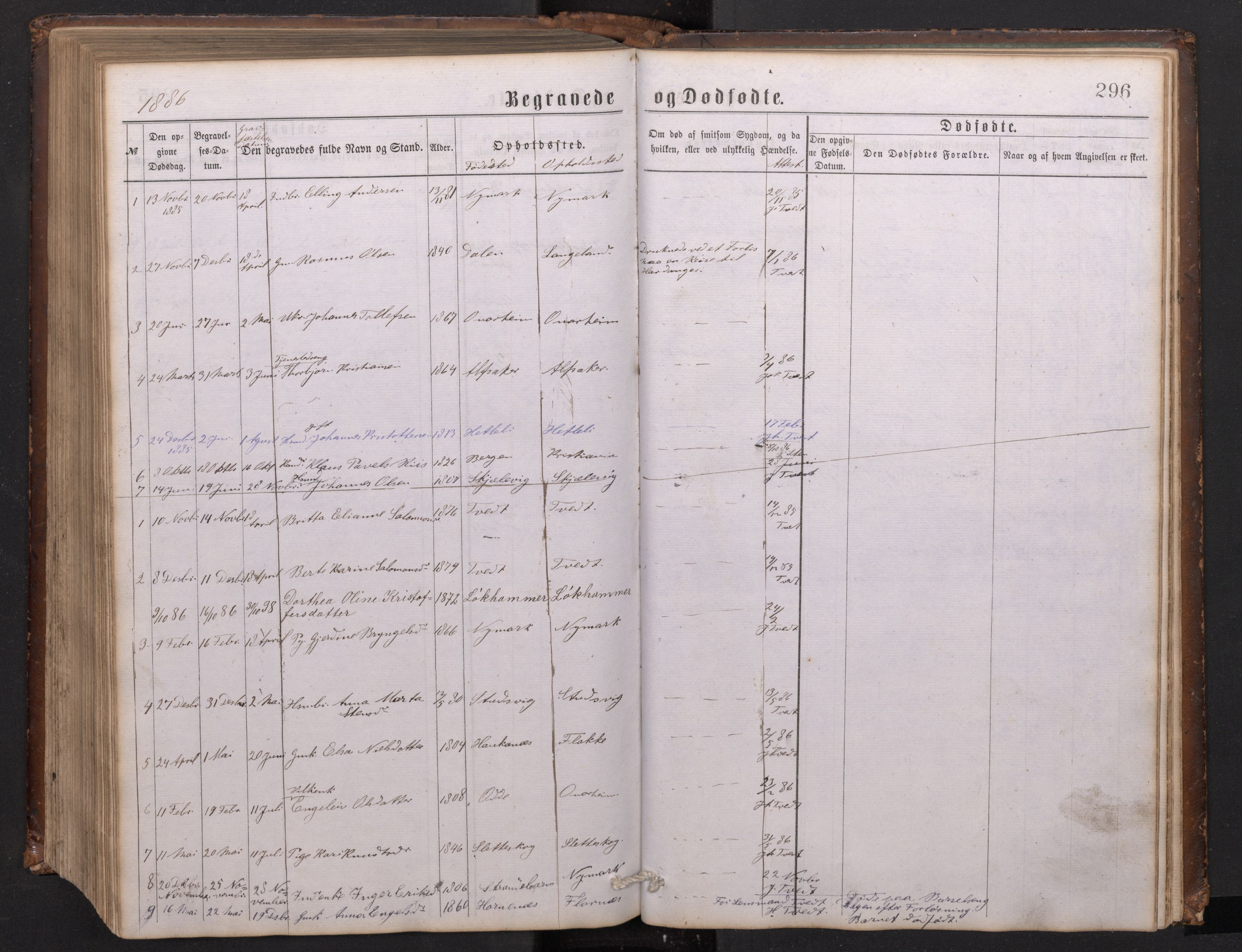 Tysnes sokneprestembete, AV/SAB-A-78601/H/Hab: Parish register (copy) no. C 1, 1873-1895, p. 295b-296a