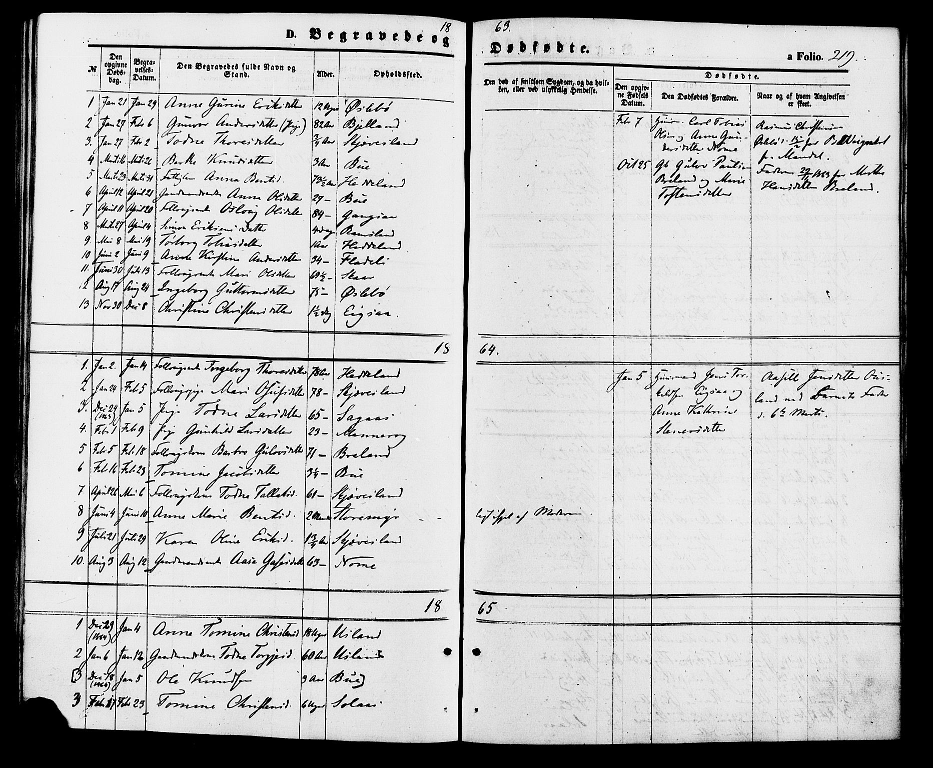 Holum sokneprestkontor, AV/SAK-1111-0022/F/Fa/Fac/L0003: Parish register (official) no. A 3, 1860-1883, p. 219