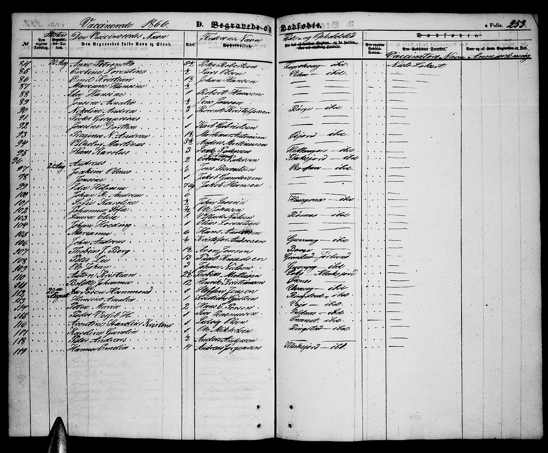 Ministerialprotokoller, klokkerbøker og fødselsregistre - Nordland, SAT/A-1459/891/L1313: Parish register (copy) no. 891C02, 1856-1870, p. 253