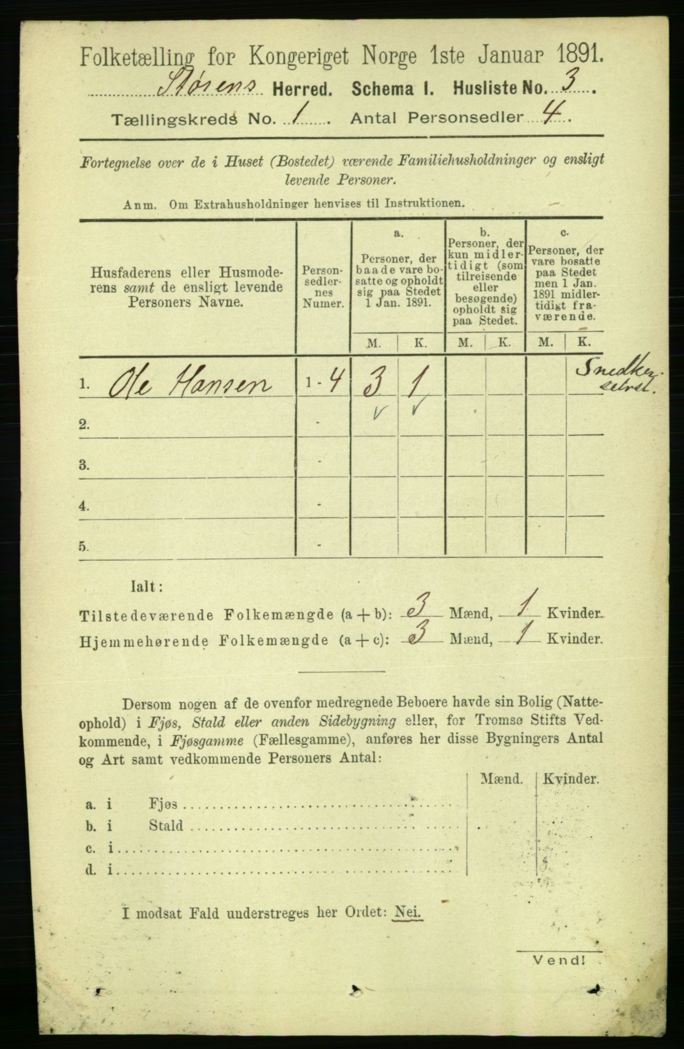 RA, 1891 census for 1648 Støren, 1891, p. 21