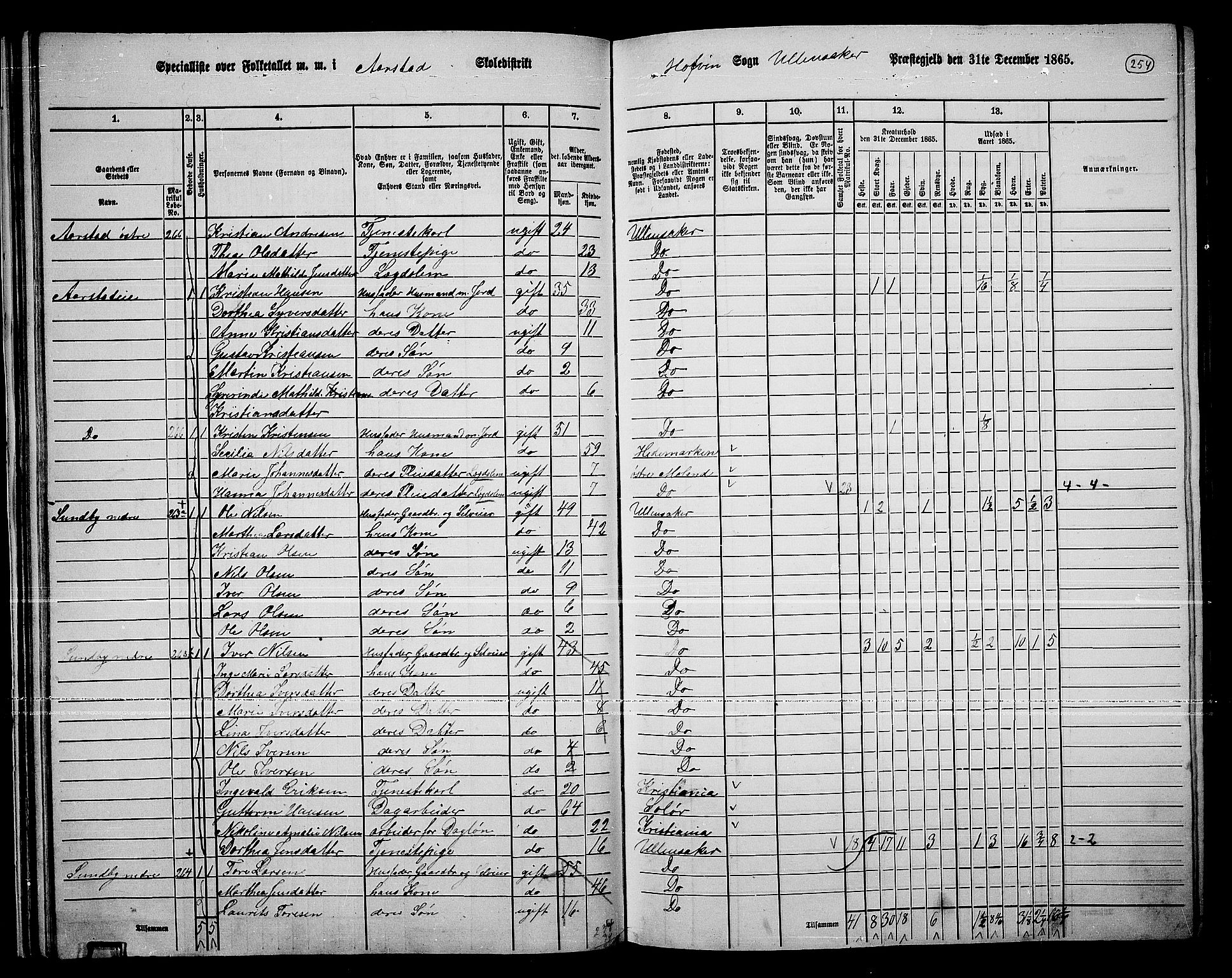 RA, 1865 census for Ullensaker, 1865, p. 226