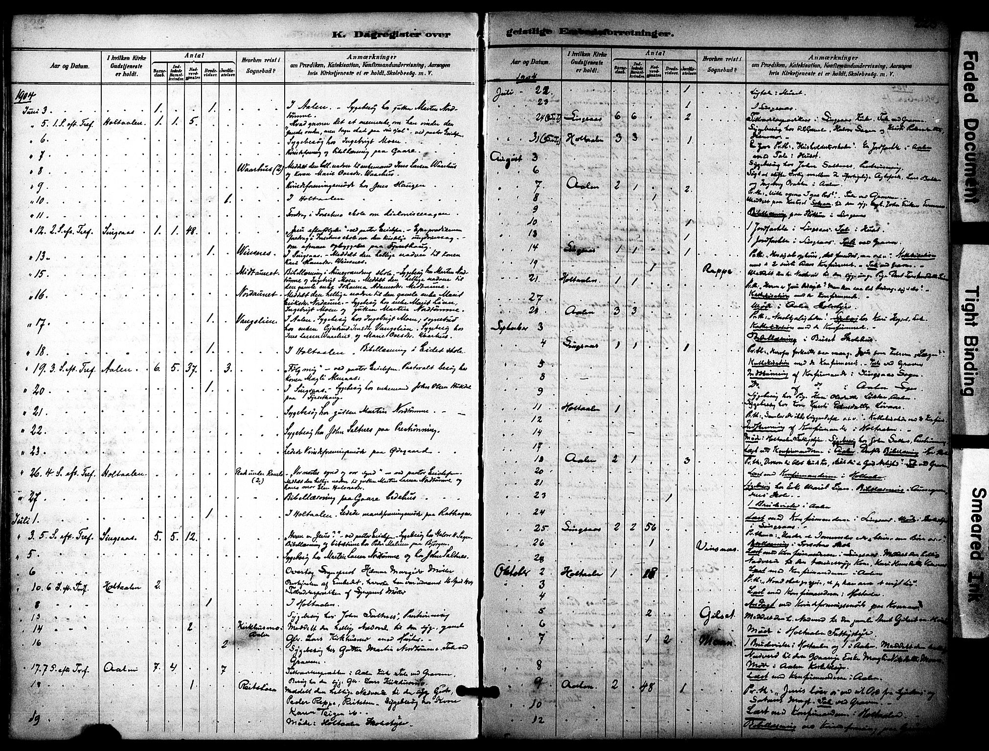 Ministerialprotokoller, klokkerbøker og fødselsregistre - Sør-Trøndelag, SAT/A-1456/686/L0984: Parish register (official) no. 686A02, 1891-1906, p. 228