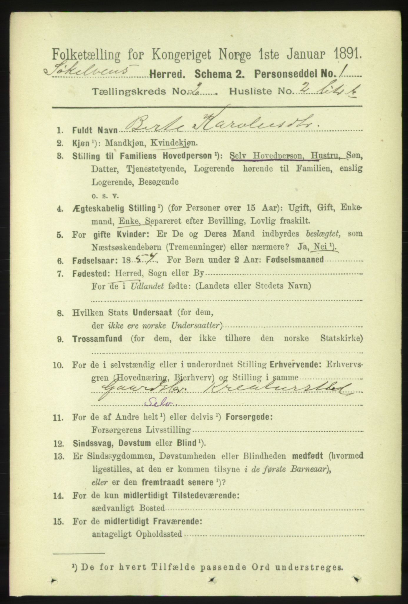 RA, 1891 census for 1528 Sykkylven, 1891, p. 1478