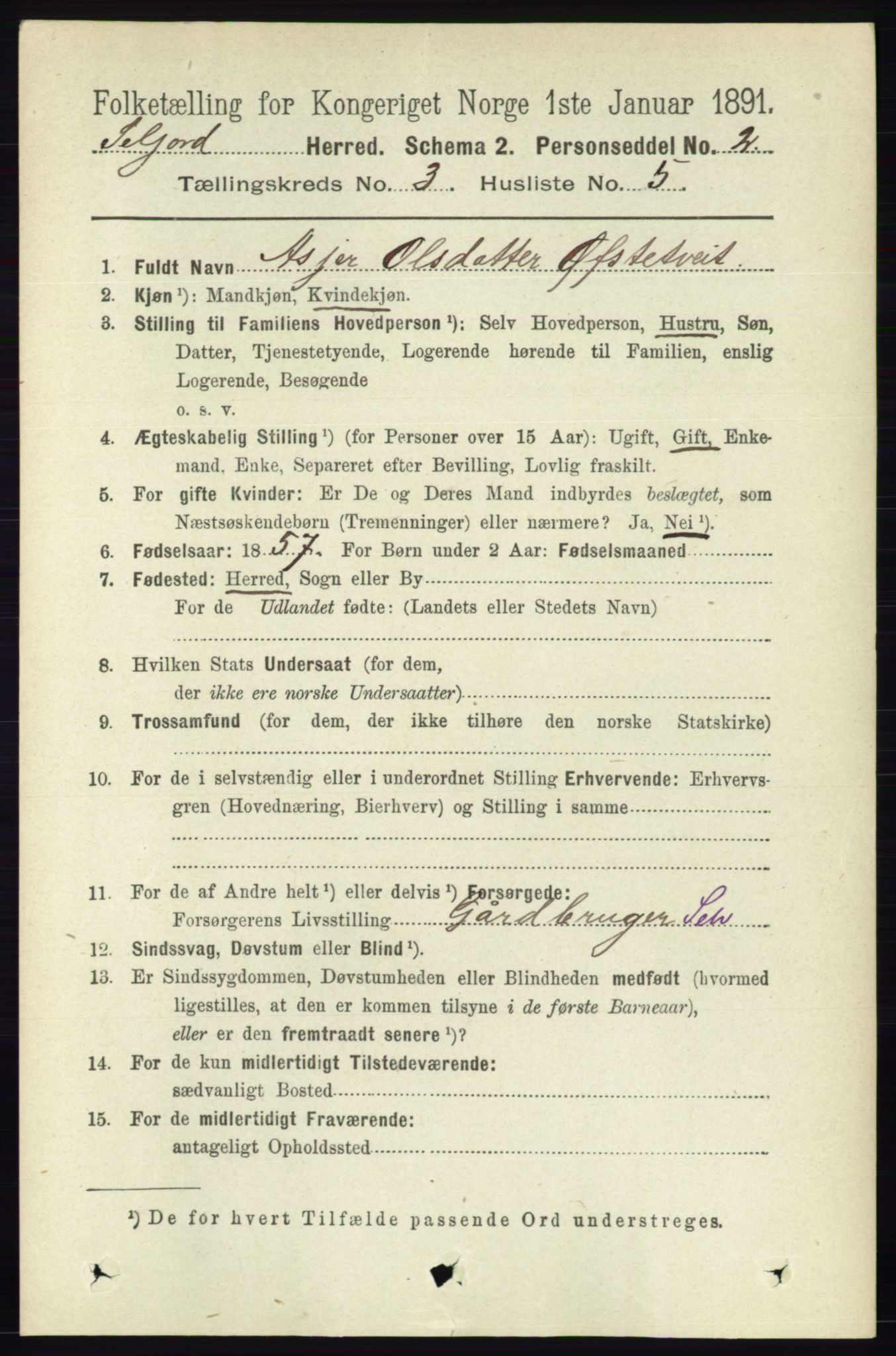 RA, 1891 census for 0828 Seljord, 1891, p. 999