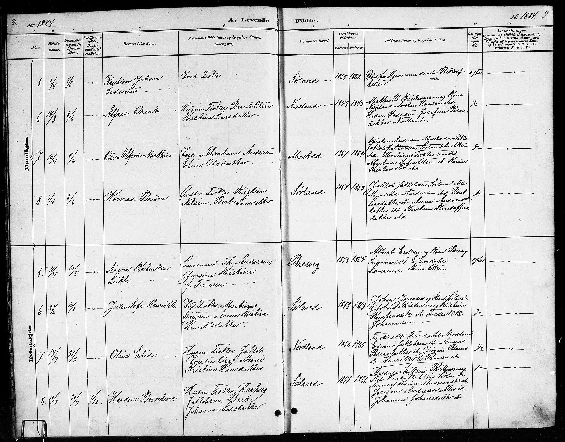 Ministerialprotokoller, klokkerbøker og fødselsregistre - Nordland, AV/SAT-A-1459/807/L0123: Parish register (copy) no. 807C01, 1884-1910, p. 8-9