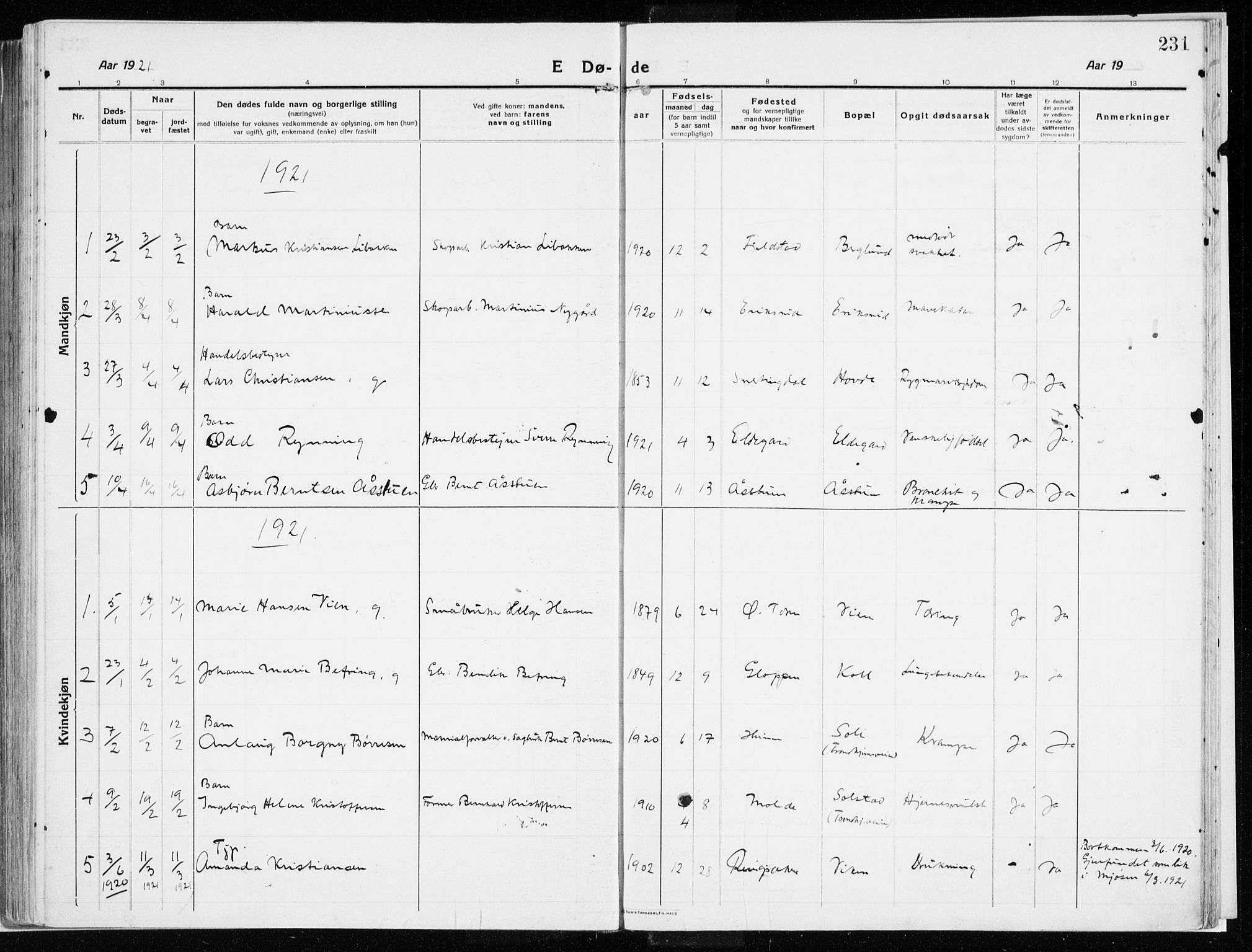 Vardal prestekontor, SAH/PREST-100/H/Ha/Haa/L0017: Parish register (official) no. 17, 1915-1929, p. 231