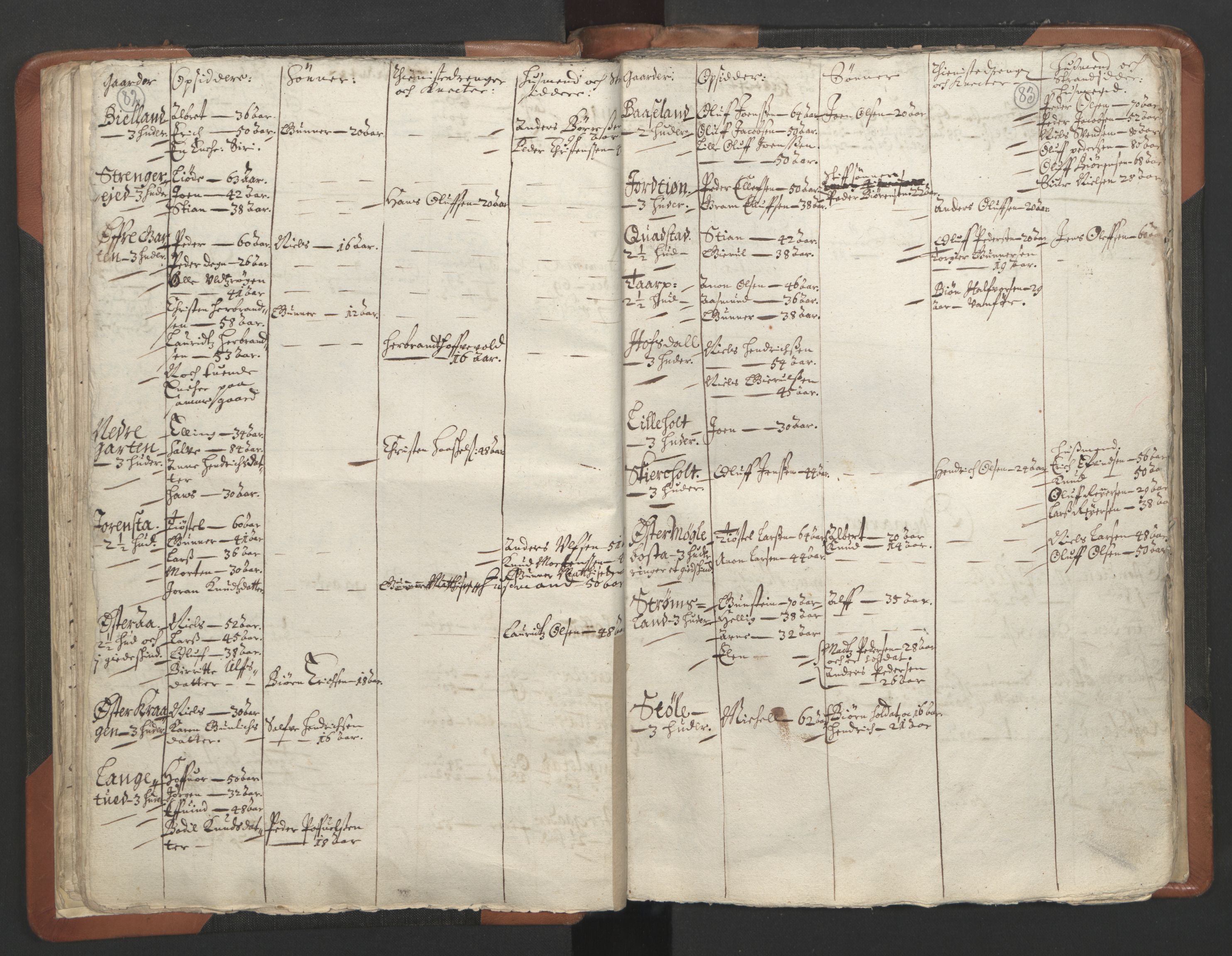 RA, Vicar's Census 1664-1666, no. 13: Nedenes deanery, 1664-1666, p. 82-83