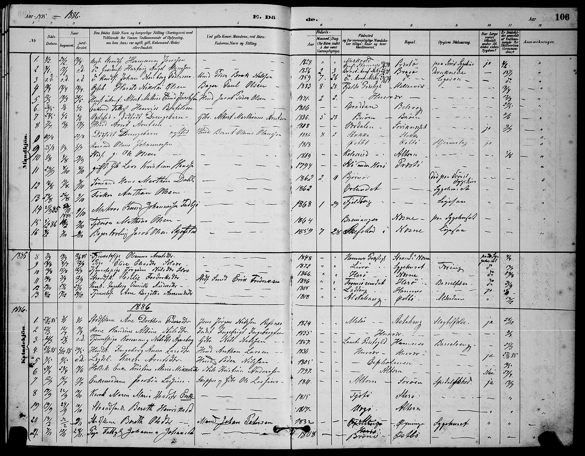 Ministerialprotokoller, klokkerbøker og fødselsregistre - Nordland, AV/SAT-A-1459/830/L0462: Parish register (copy) no. 830C04, 1882-1895, p. 106