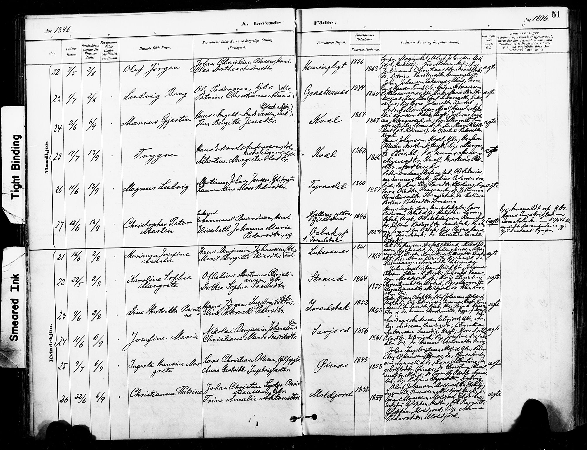 Ministerialprotokoller, klokkerbøker og fødselsregistre - Nordland, AV/SAT-A-1459/846/L0646: Parish register (official) no. 846A04, 1887-1901, p. 51