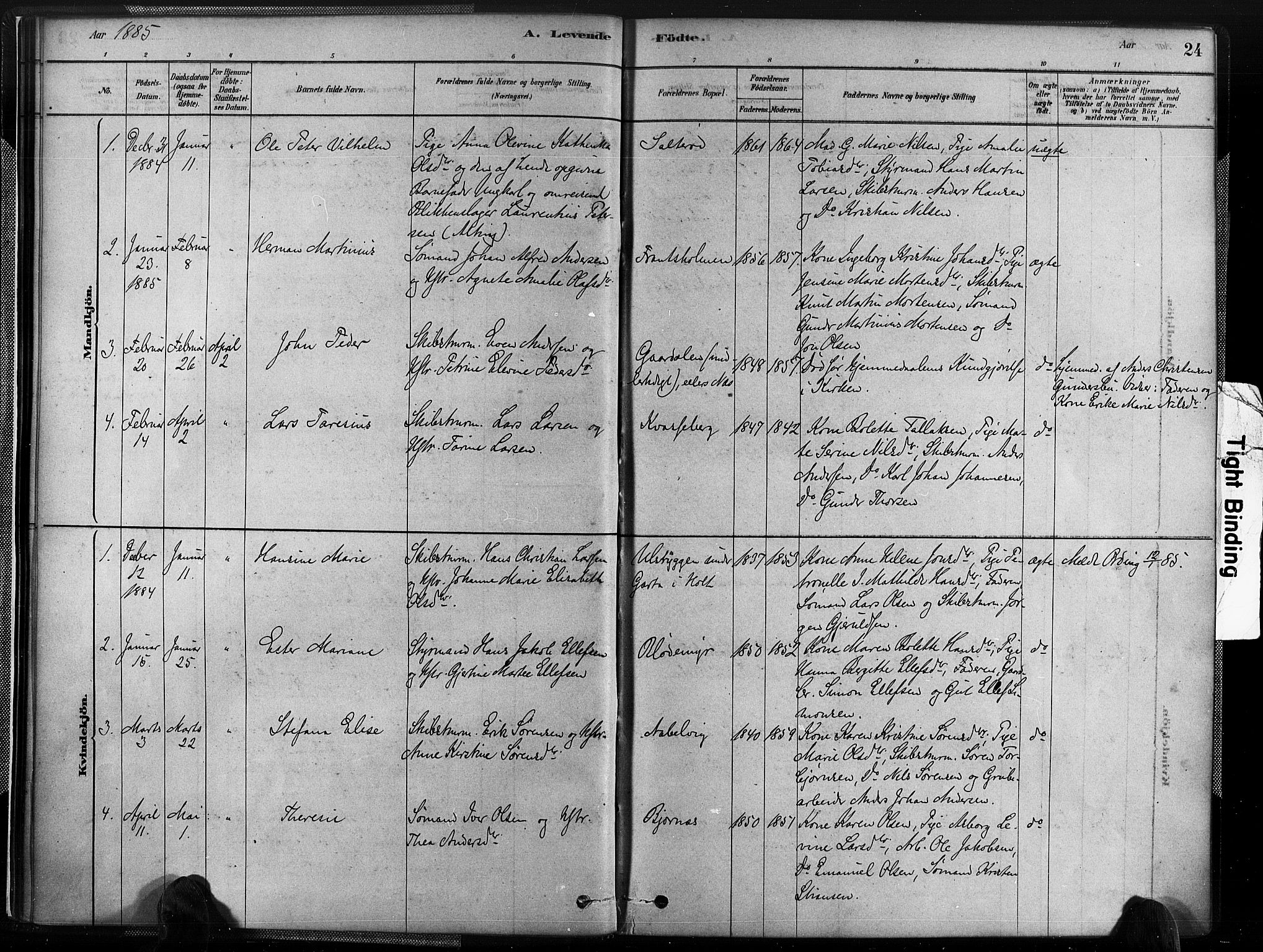 Austre Moland sokneprestkontor, SAK/1111-0001/F/Fa/Fab/L0001: Parish register (official) no. A 1, 1878-1898, p. 24