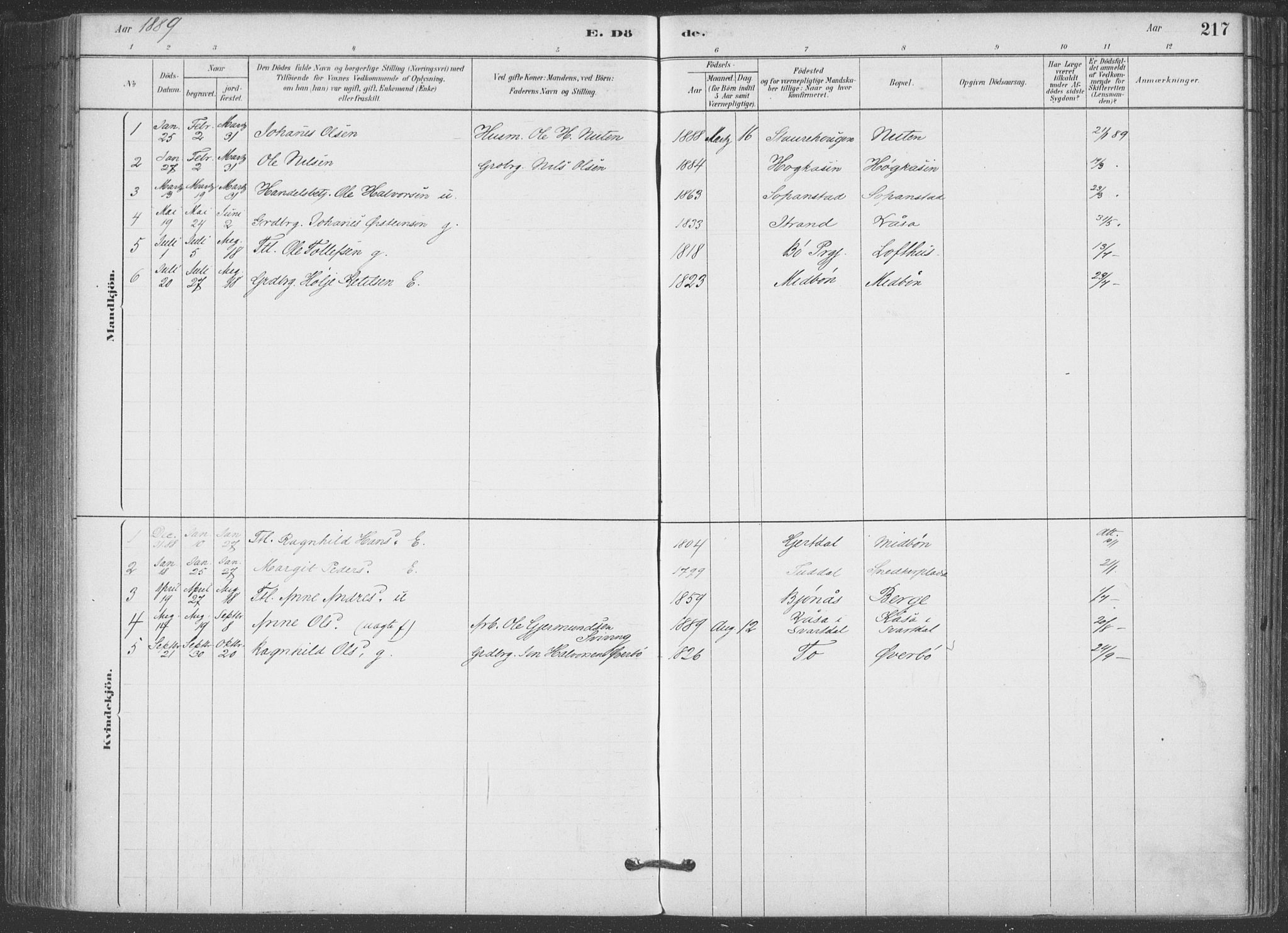 Hjartdal kirkebøker, SAKO/A-270/F/Fa/L0010: Parish register (official) no. I 10, 1880-1929, p. 217