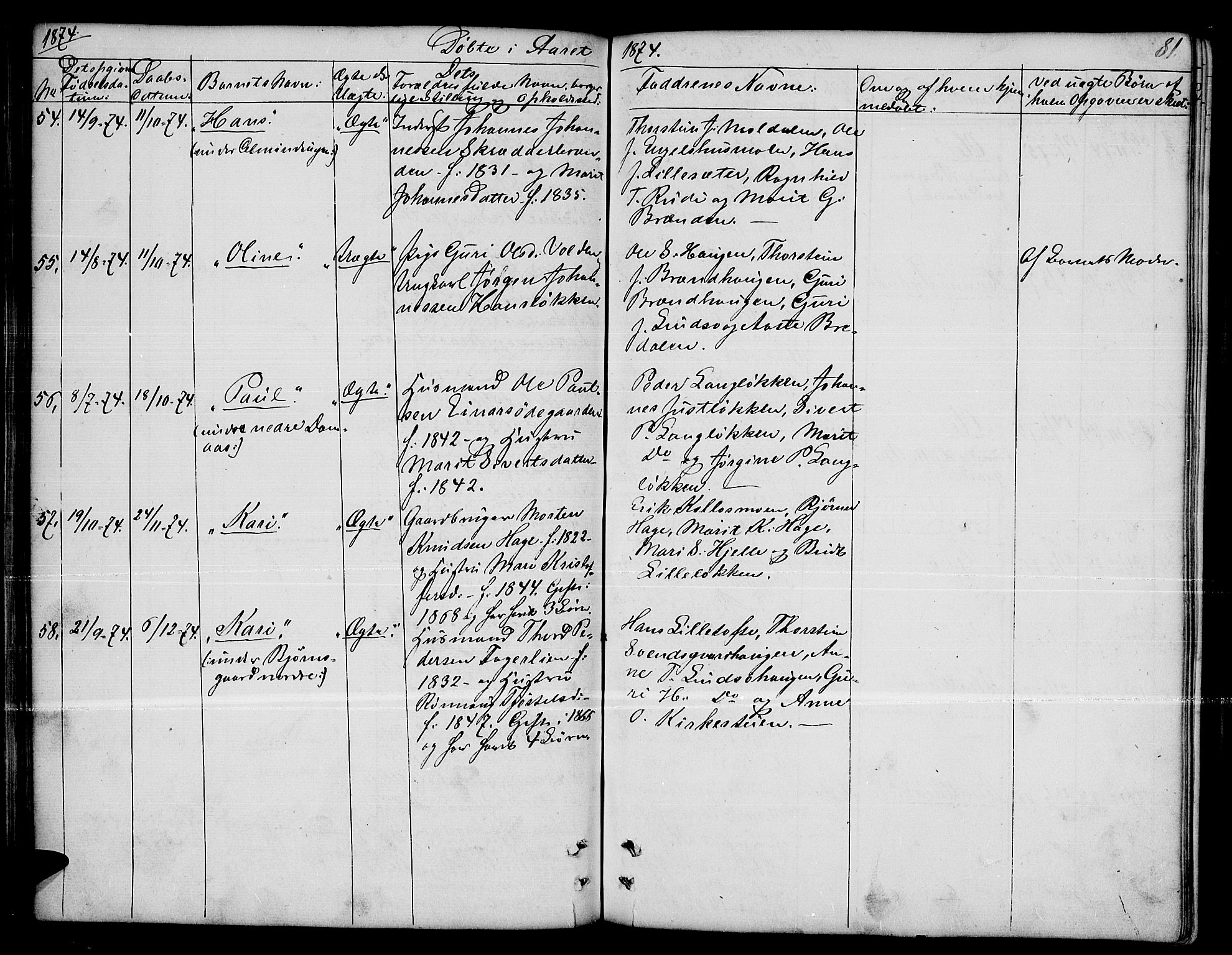 Dovre prestekontor, SAH/PREST-066/H/Ha/Hab/L0001: Parish register (copy) no. 1, 1862-1880, p. 81