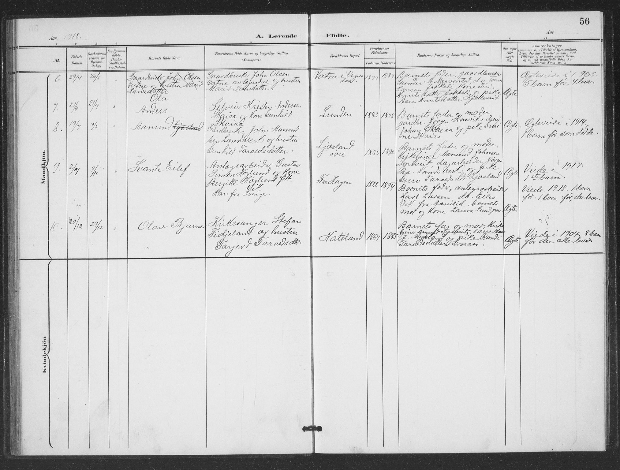 Evje sokneprestkontor, AV/SAK-1111-0008/F/Fb/Fbc/L0005: Parish register (copy) no. B 5, 1901-1935, p. 56