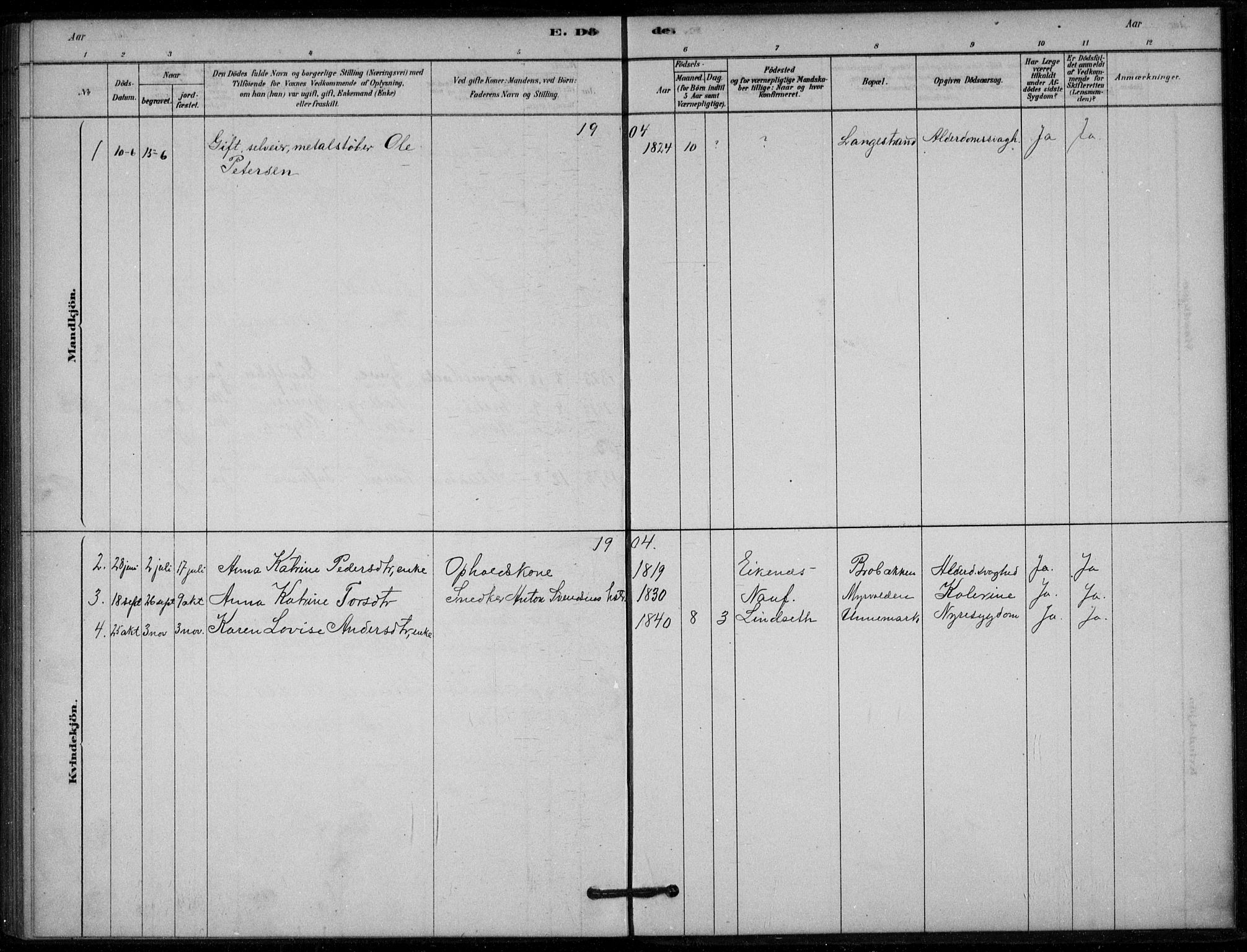 Hof kirkebøker, AV/SAKO-A-64/G/Gb/L0002: Parish register (copy) no. II 2, 1878-1902